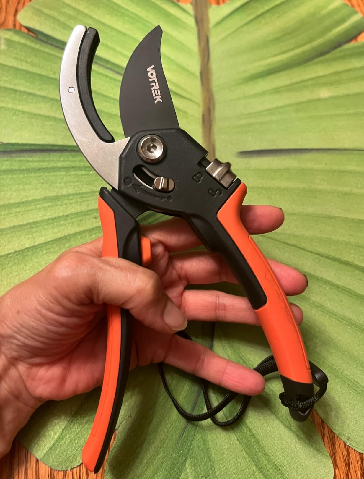 Anvil Pruning Shears, 3/4