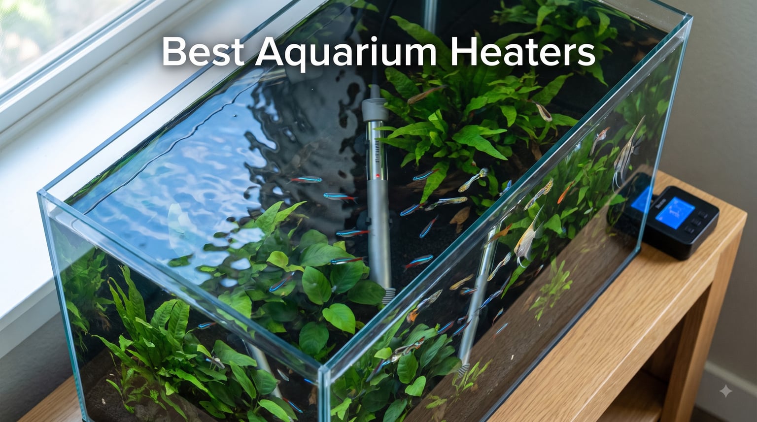 Best Aquarium Heaters