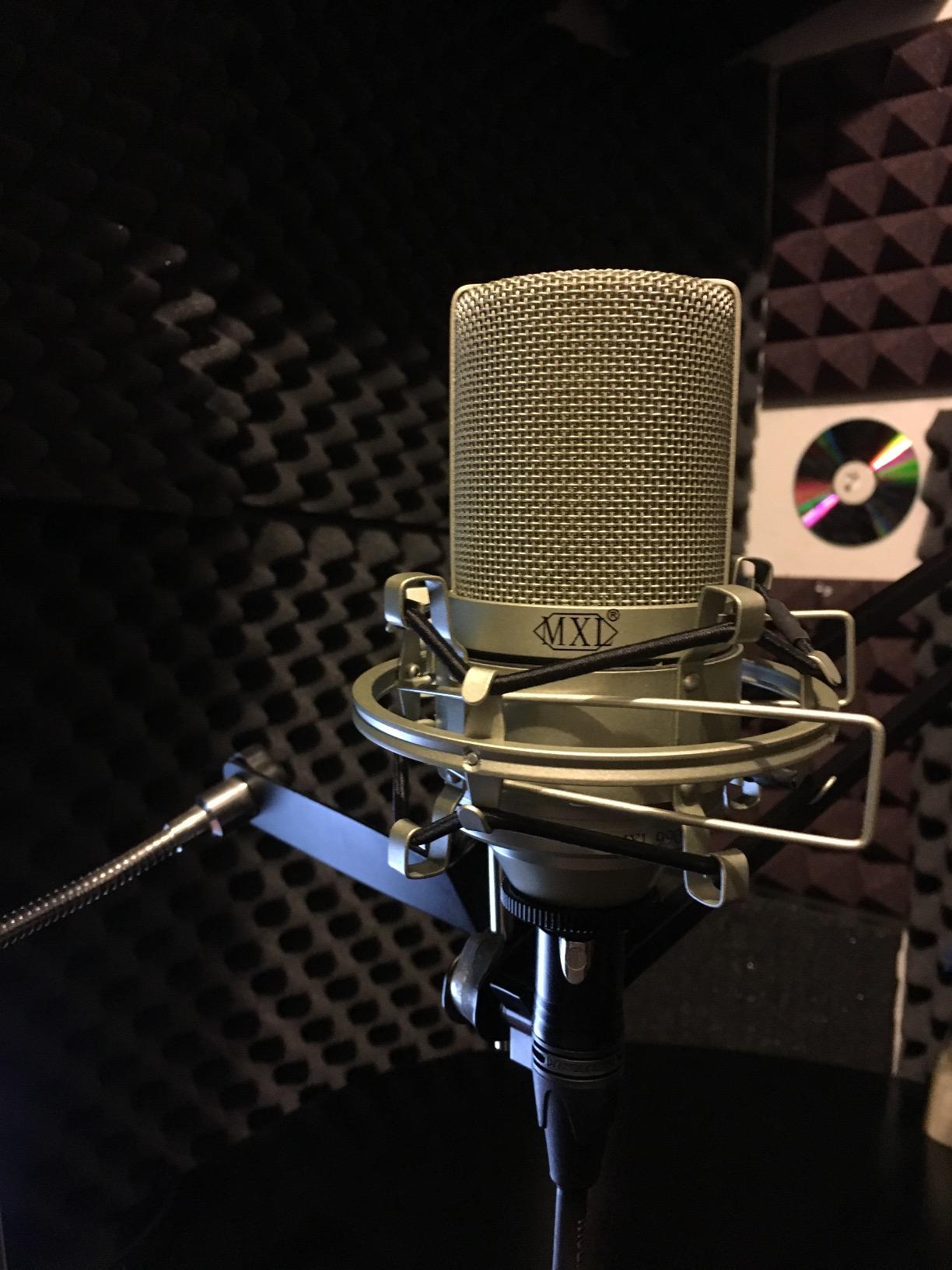 MXL 990 Condenser Microphone for Podcasting, Singing, Home Studio Recording, Gaming & Streaming | Detailed Sound | XLR | Large Diaphragm (Champagne) customer photo 2