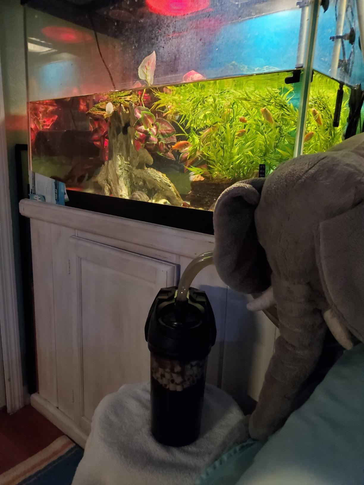 Zoo Med Turtle Clean 30 External Canister Filter for Aquatic Turtle Habitatsup To 30 gallon customer photo 1