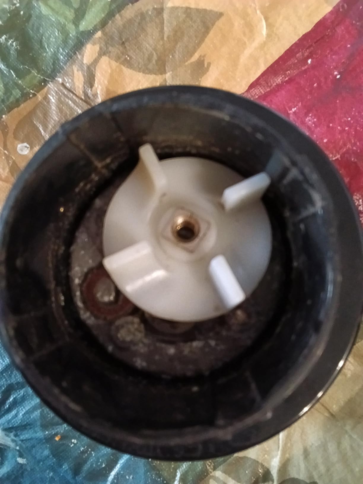 Preethi Eco Twin Jar Mixer Grinder, 550-Watt customer photo 2