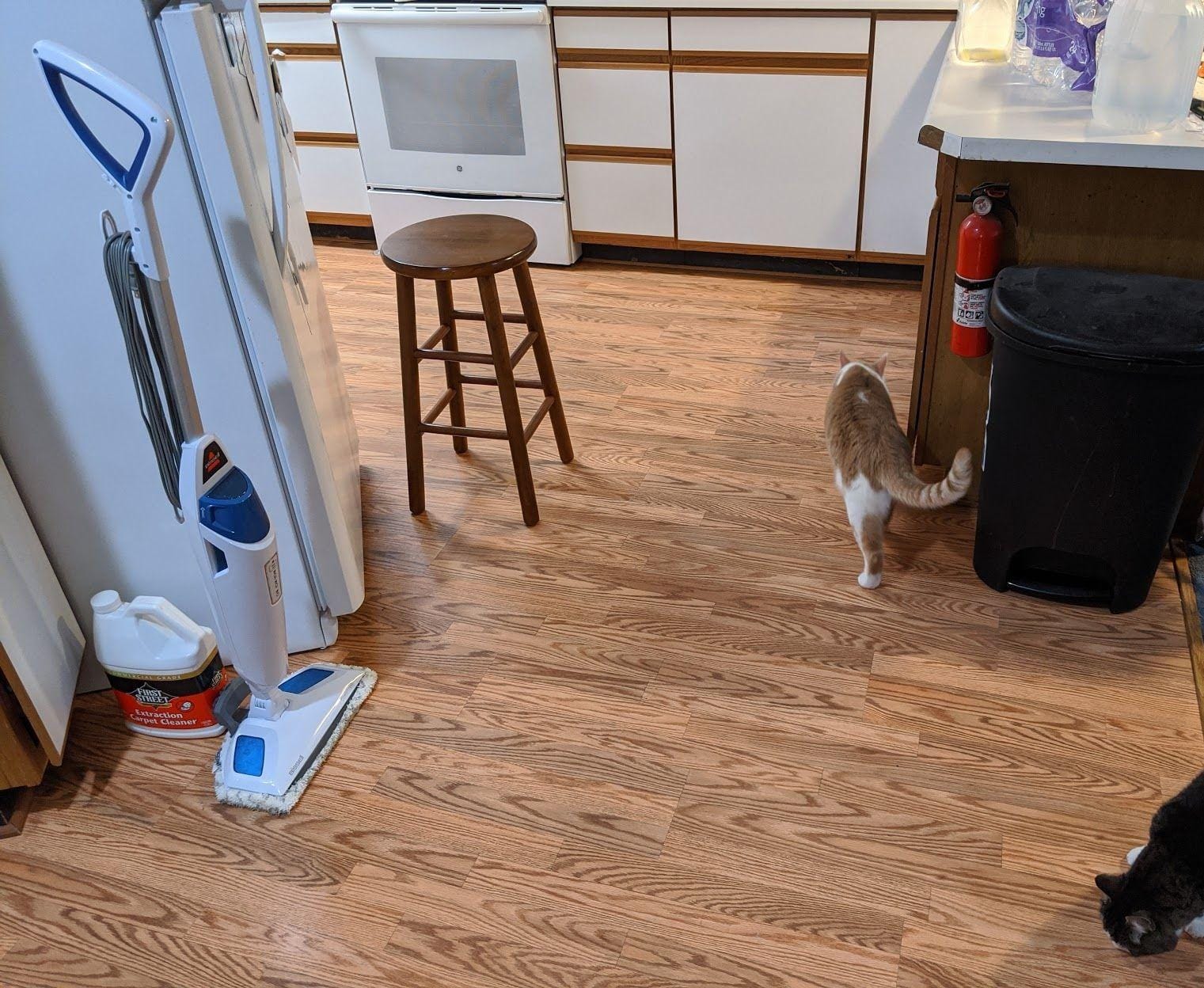 BISSELL Steam Mop 1940A PowerFresh Floor Steam Cleaner for Hard Wood & Tile with Natural Sanitization, Easy Scrubber, Variable Steam, 12” Cleaning Path customer photo 1