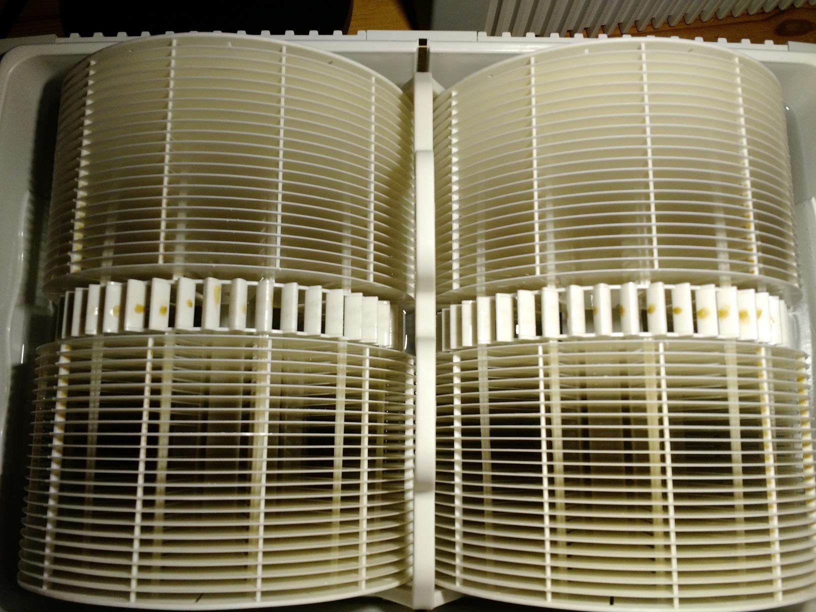 Venta LW45 Original Humidifier in White - Filter-Free Evaporative Humidifier for Spaces up to 600 ft² customer photo 1