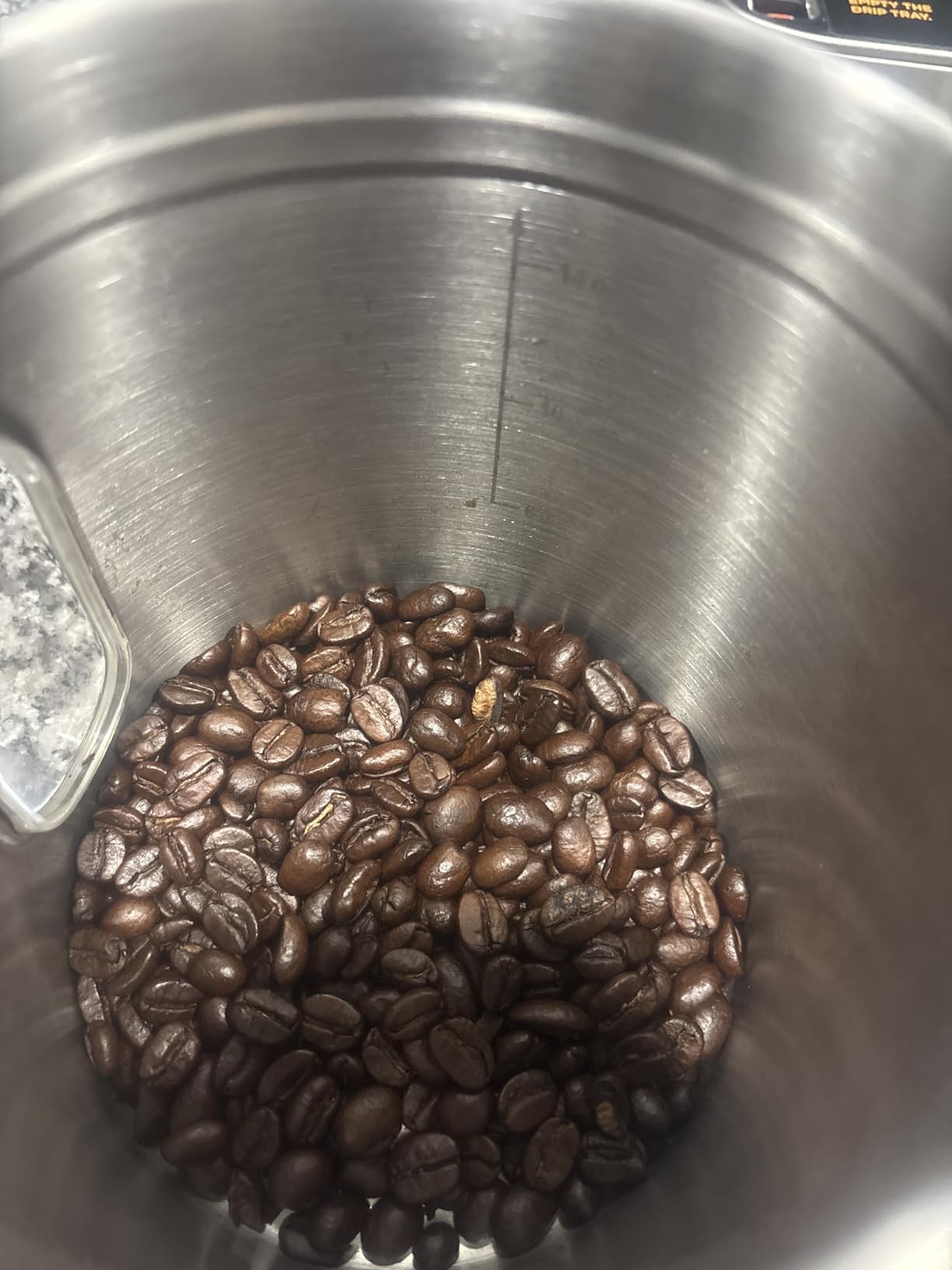 Mayorga Organic Coffee 12oz Cafe Cubano Roast - Dark Roast Whole Bean Coffee Specialty Grade, 100% Arabica, Slow Roasted, Bold and Smooth Flavor with Low Acidity - USDA Organic, Non-GMO, Kosher, customer photo 1