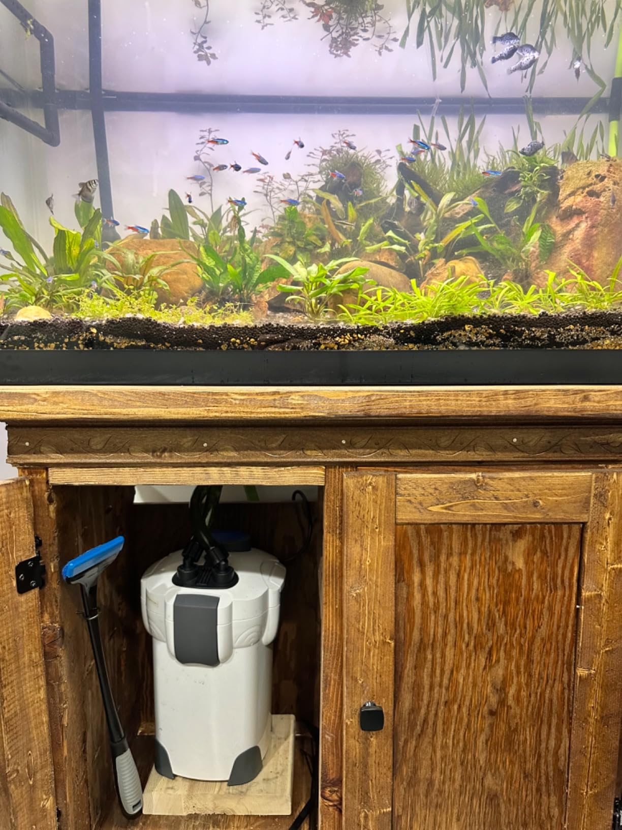 SunSun HW-302 3-Stage External Canister Aquarium Filter 264GPH customer photo 2