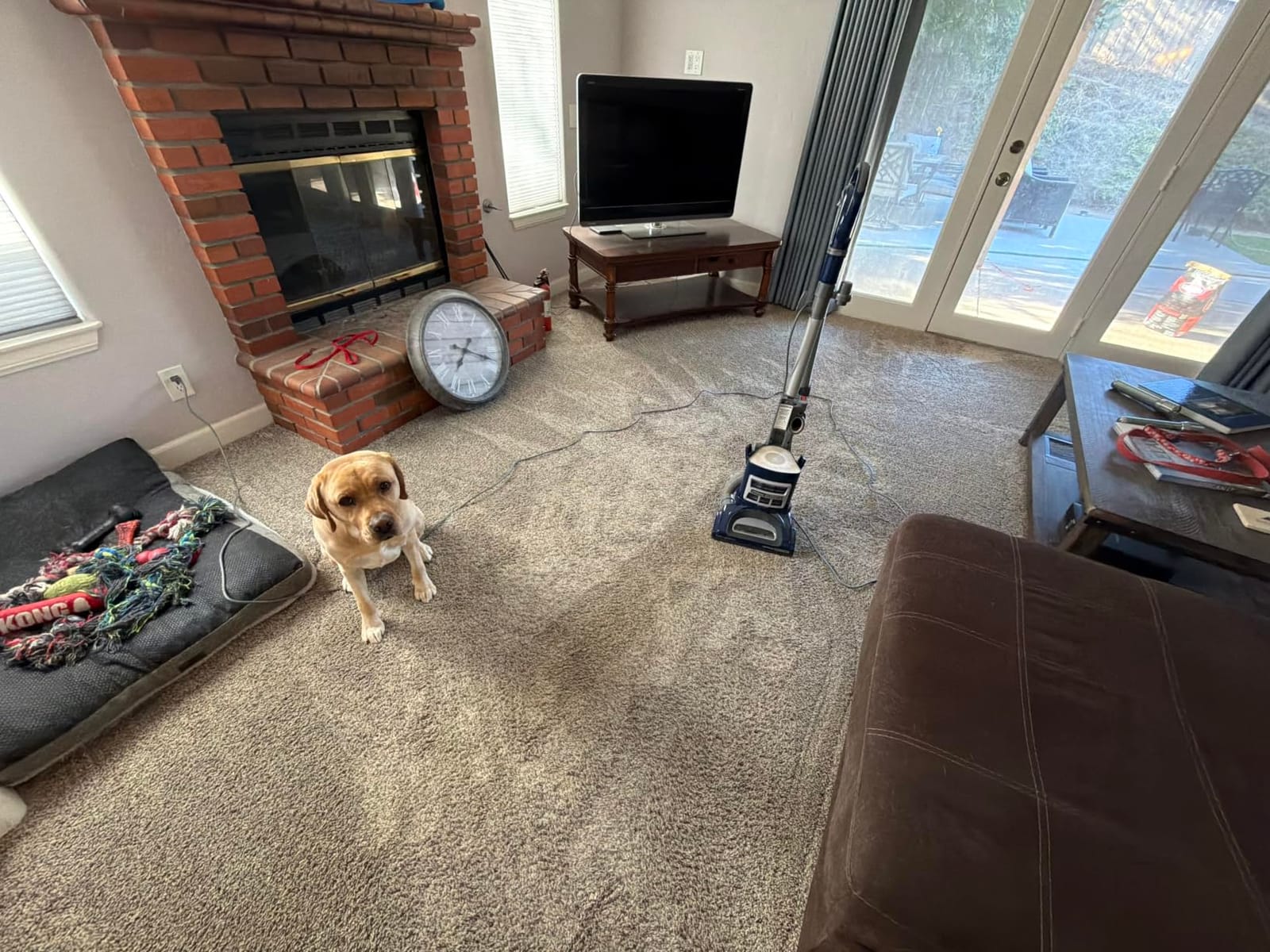 Shark Navigator Lift-Away Vacuum, HEPA, Carpet and Pet Hair, Blue, NV360 customer photo 2