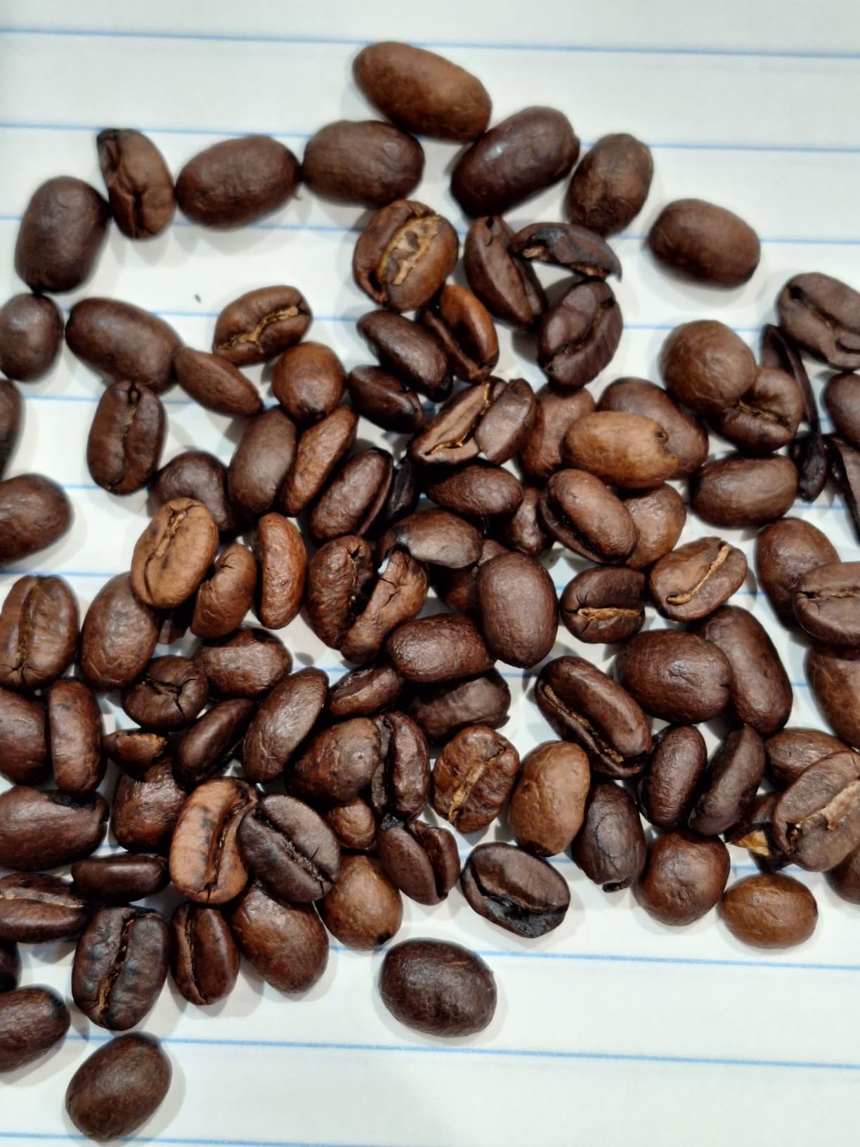 Kicking Horse Coffee, Three Sisters, Medium Roast, Whole Bean, 10 oz customer photo 2