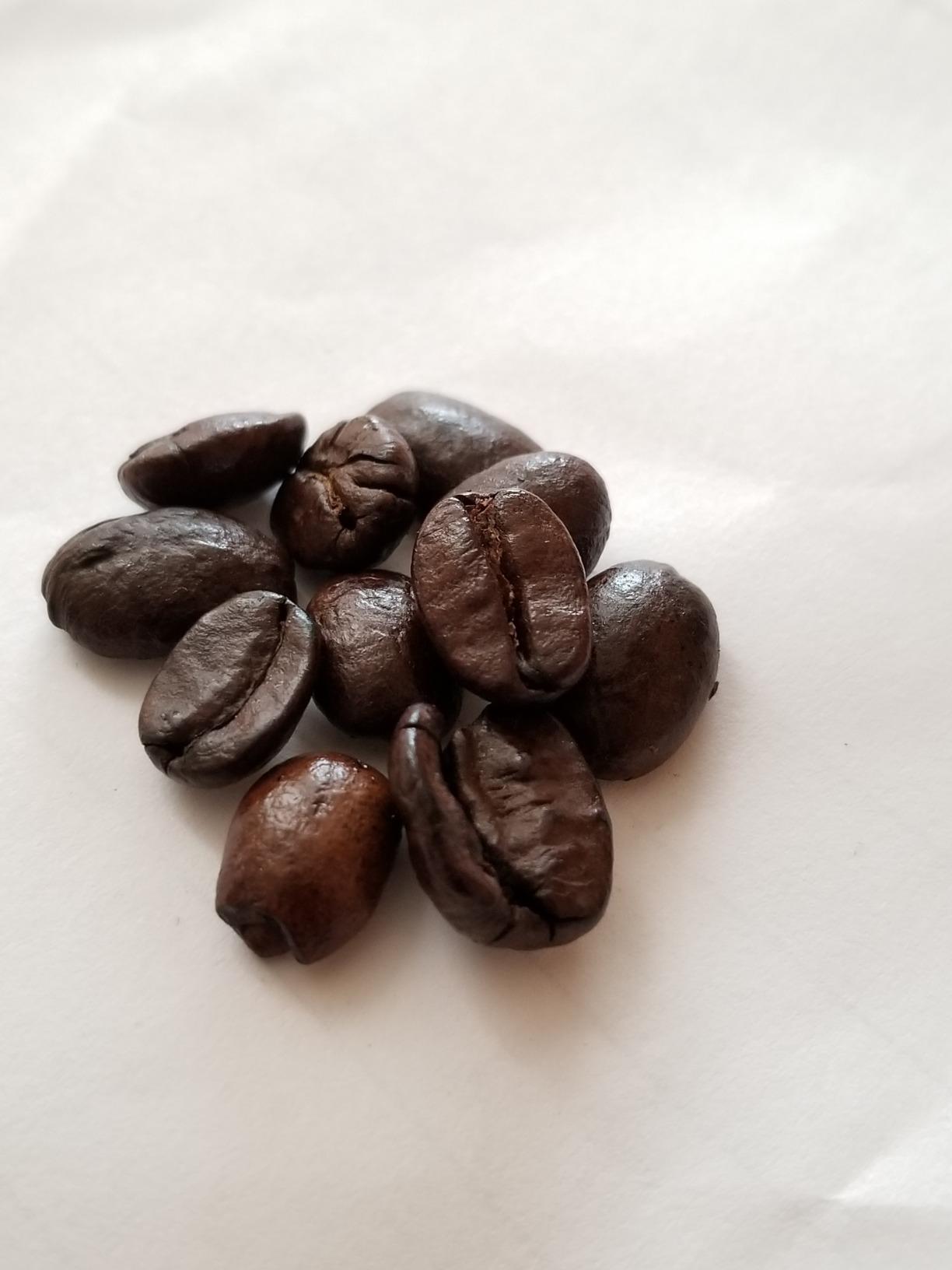 Kicking Horse Coffee, Grizzly Claw, Dark Roast, Whole Bean, 10 Oz - Certified Organic, Fairtrade, Kosher Coffee customer photo 2