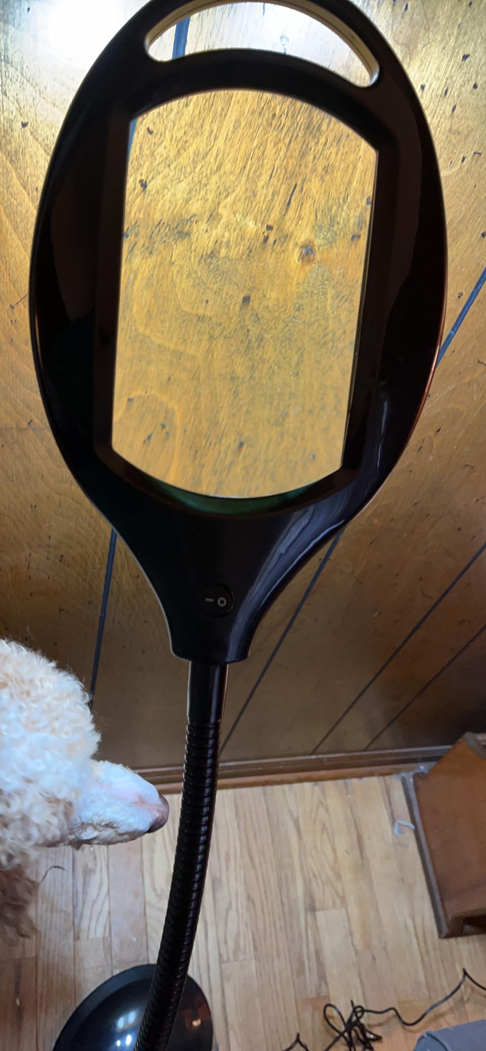 Brightech LightView Pro LED Magnifying Floor Lamp - Daylight Bright Full Spectrum Magnifier Lighted Glass Lens - Height Adjustable Gooseneck Standing Light - for Reading Task Craft Lighting - White customer photo 2