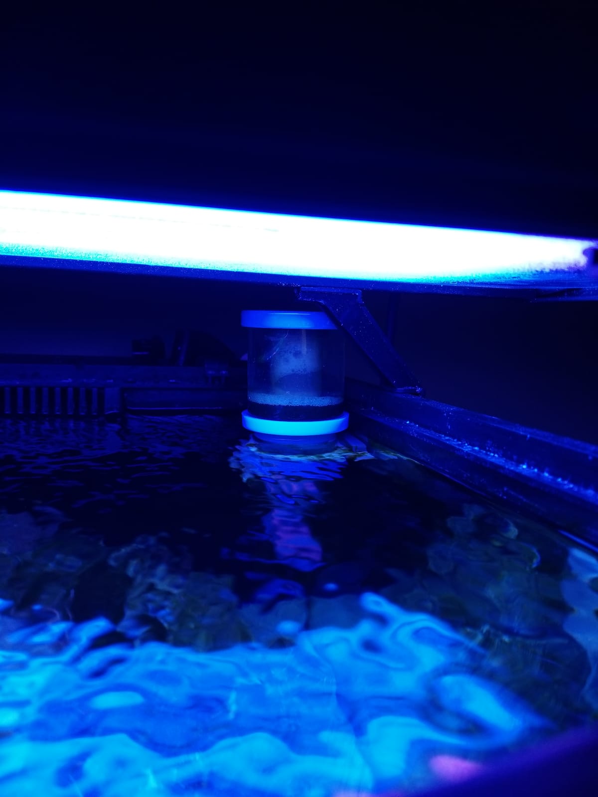 ESHOPPS Nano Skimmer | Protein Skimmer for Nano Tanks | New improved adjustable magnetic mount | Adjustable water height. Minimal foot print. Fits most All in one tanks back chamber customer photo 1