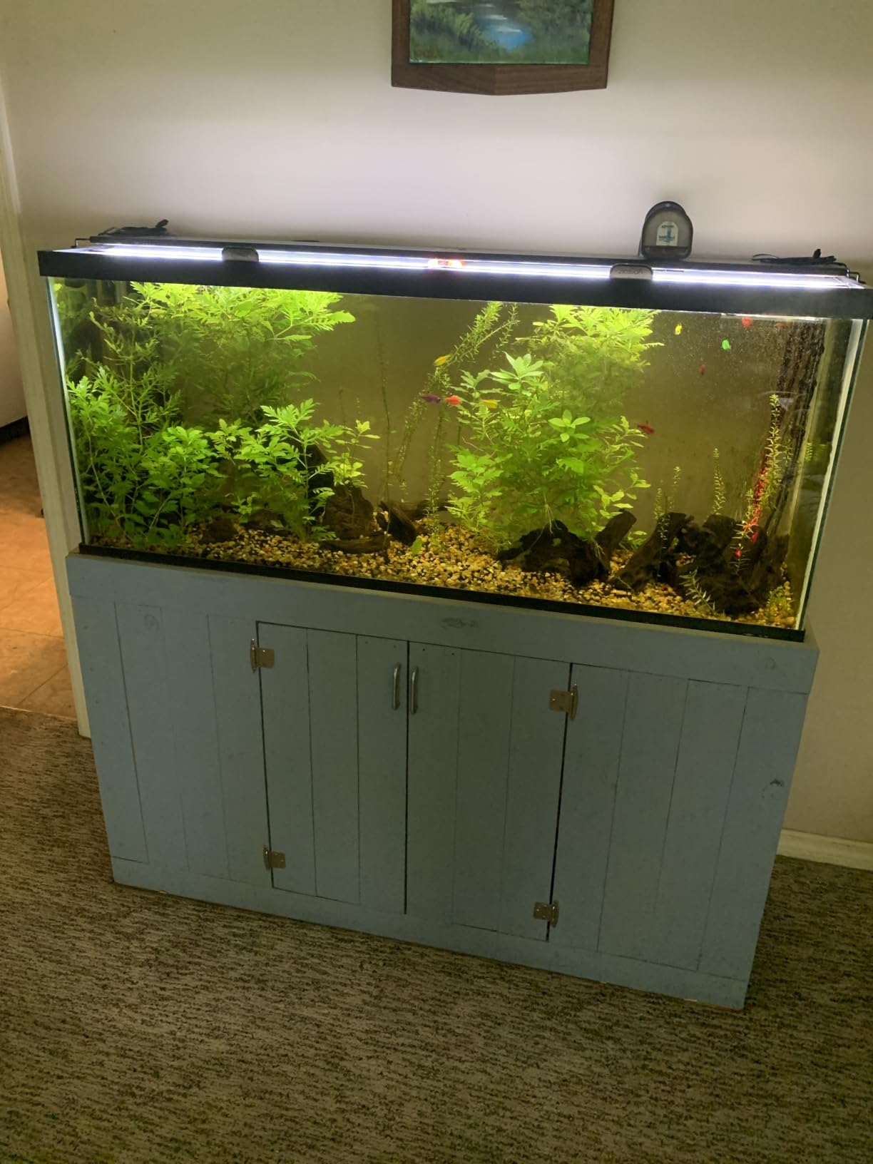 Marineland Magniflow 400 GPH Canister Aquarium Filter customer photo 1