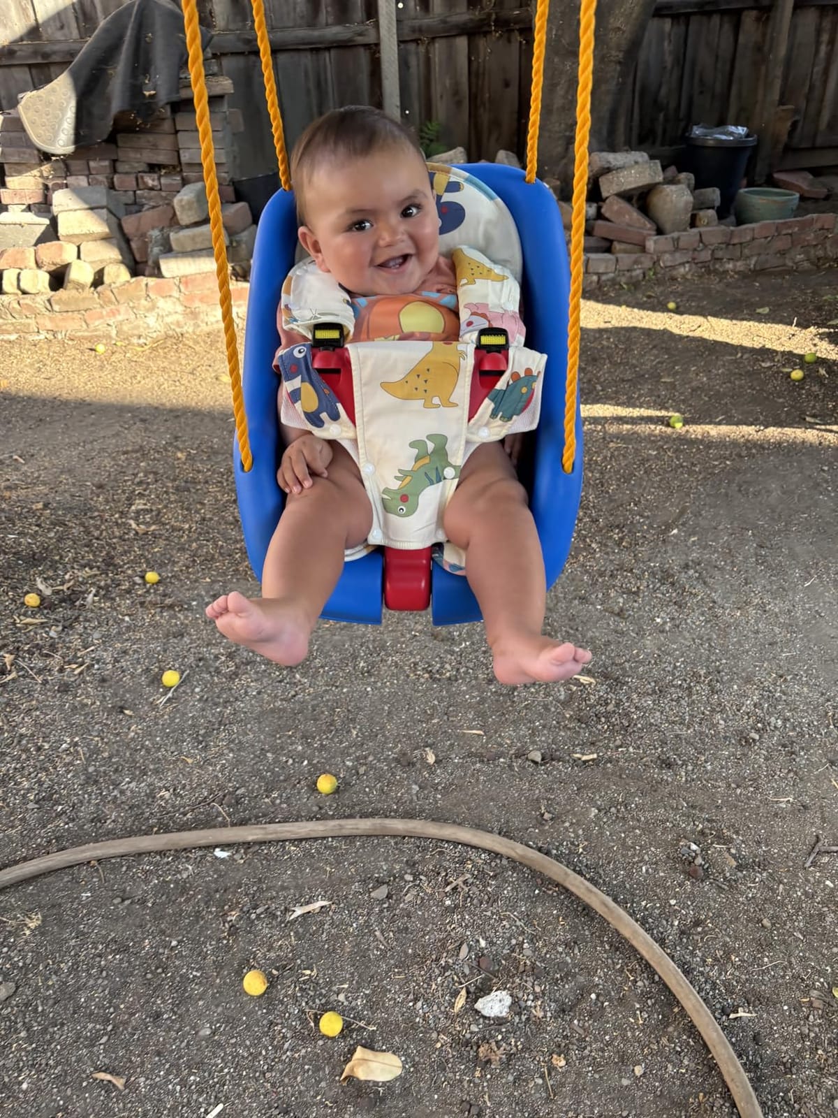 Little Tikes Snug 'n Secure Blue Swing with Adjustable Straps, 2-in-1 for Baby and Toddlers Ages 9 Months - 4 Years customer photo 2