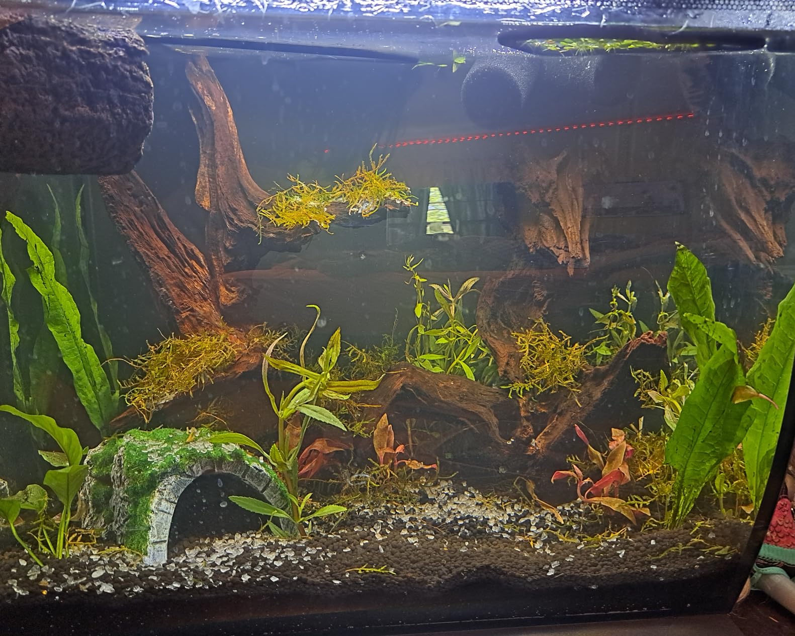Fluval Flex 57 - 15 Gallon Nano Glass Aquarium Kit customer photo 1