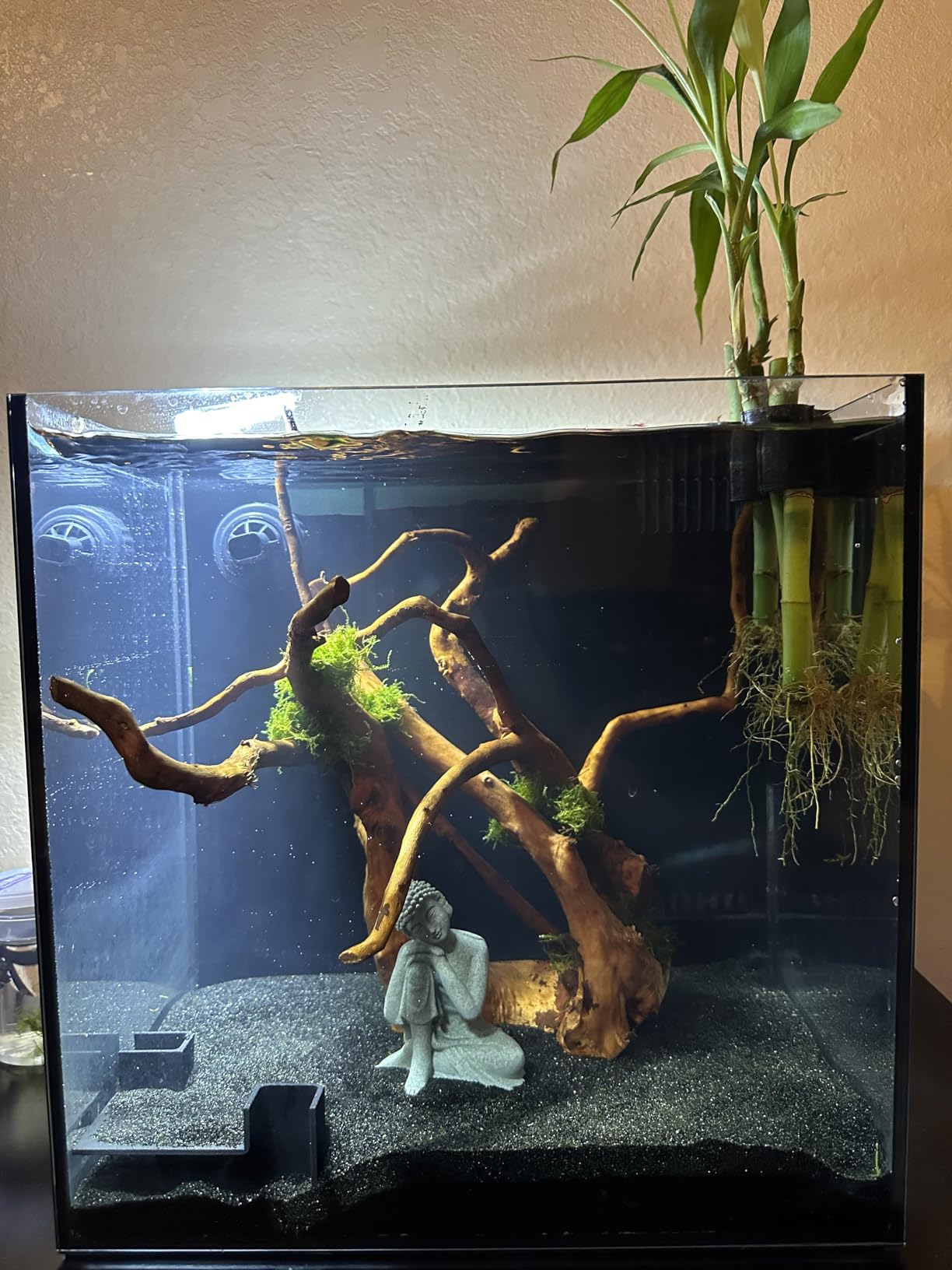 LANDEN EzFlux 60 Rimless 26 Gallon Rear Filtration Tank, Pump Included customer photo 2