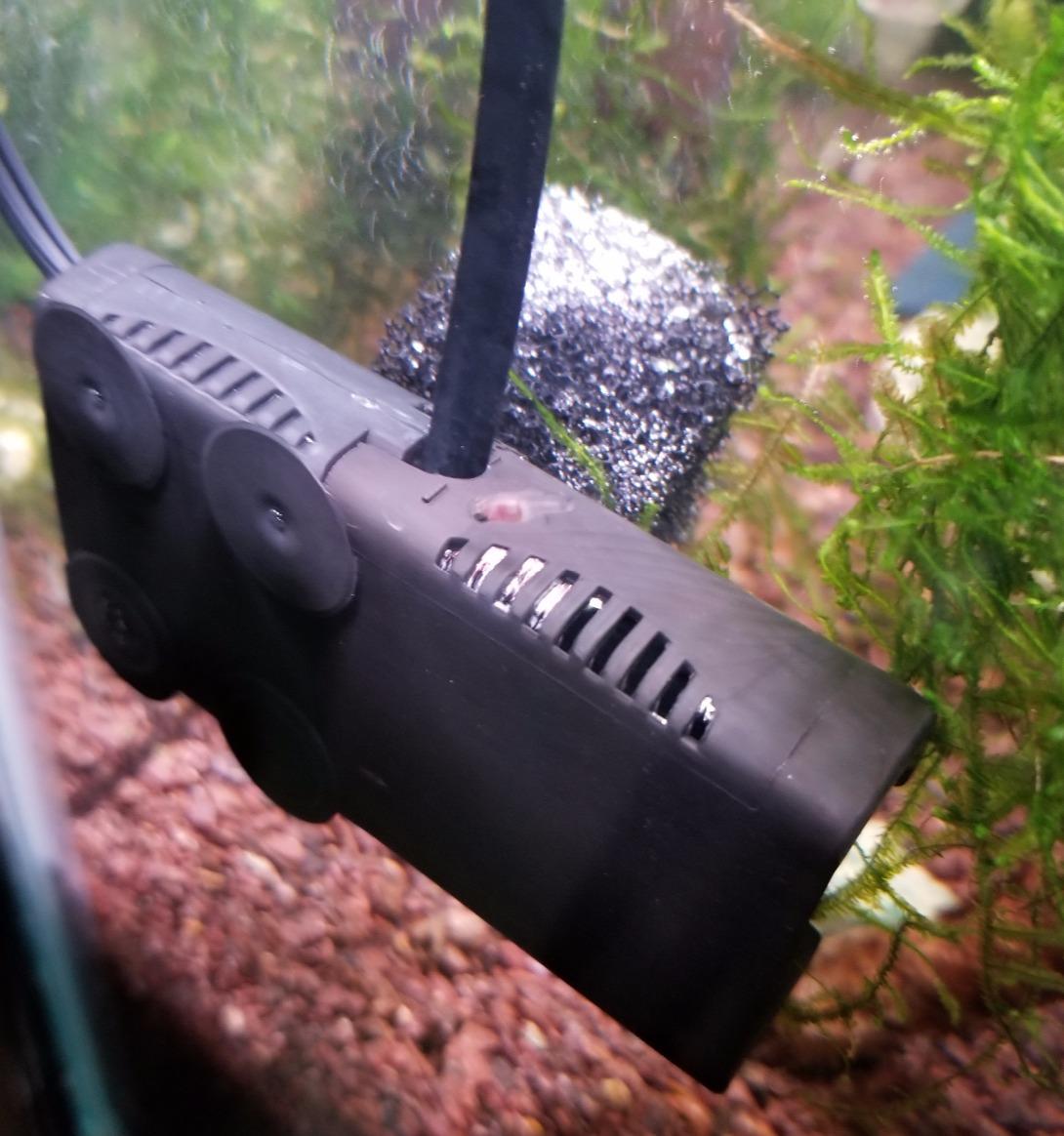 DIY CO2 Generator System Aquarium Plant Kit with Gauge Valve customer photo 2