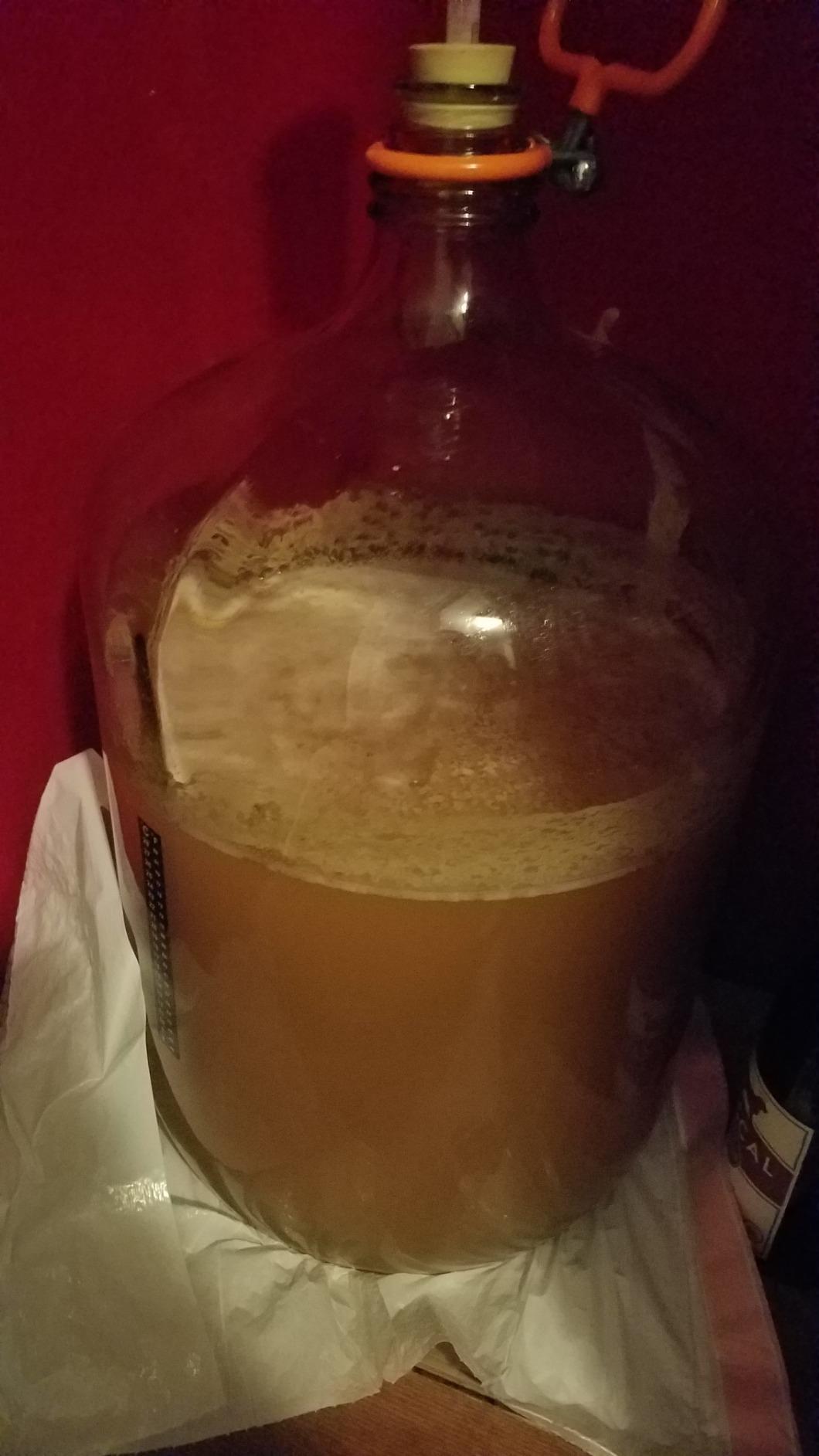 American Cream Ale Homebrew Beer Ingredient Kit customer photo 1
