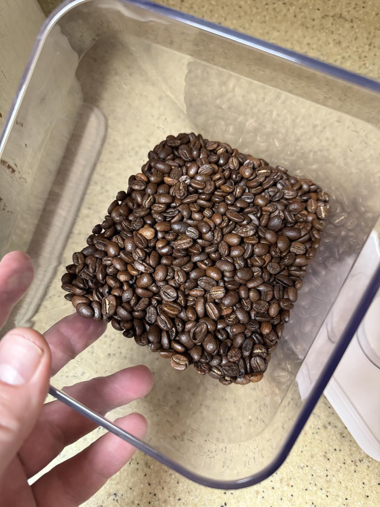 Kicking Horse Coffee, Smart Ass, Medium Roast, Whole Bean, 2.2 Pound - Certified Organic, Fairtrade, Kosher Coffee customer photo 1