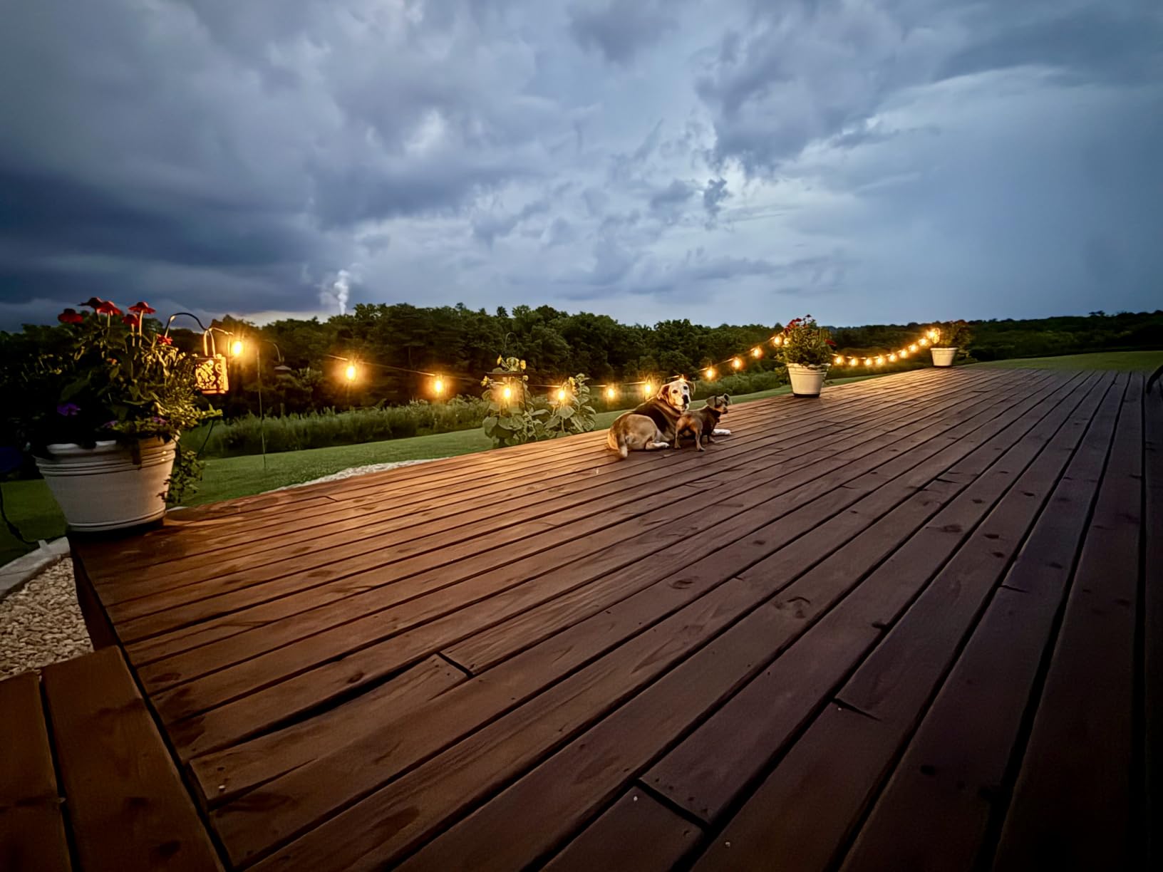 Brightech Ambience Pro Solar Powered Outdoor String Lights -27 ft Commercial Grade Waterproof Edison Patio Lights, Shatterproof LED String Lights for Outside, Porch - 12 Bulbs, 1W Soft White customer photo 2