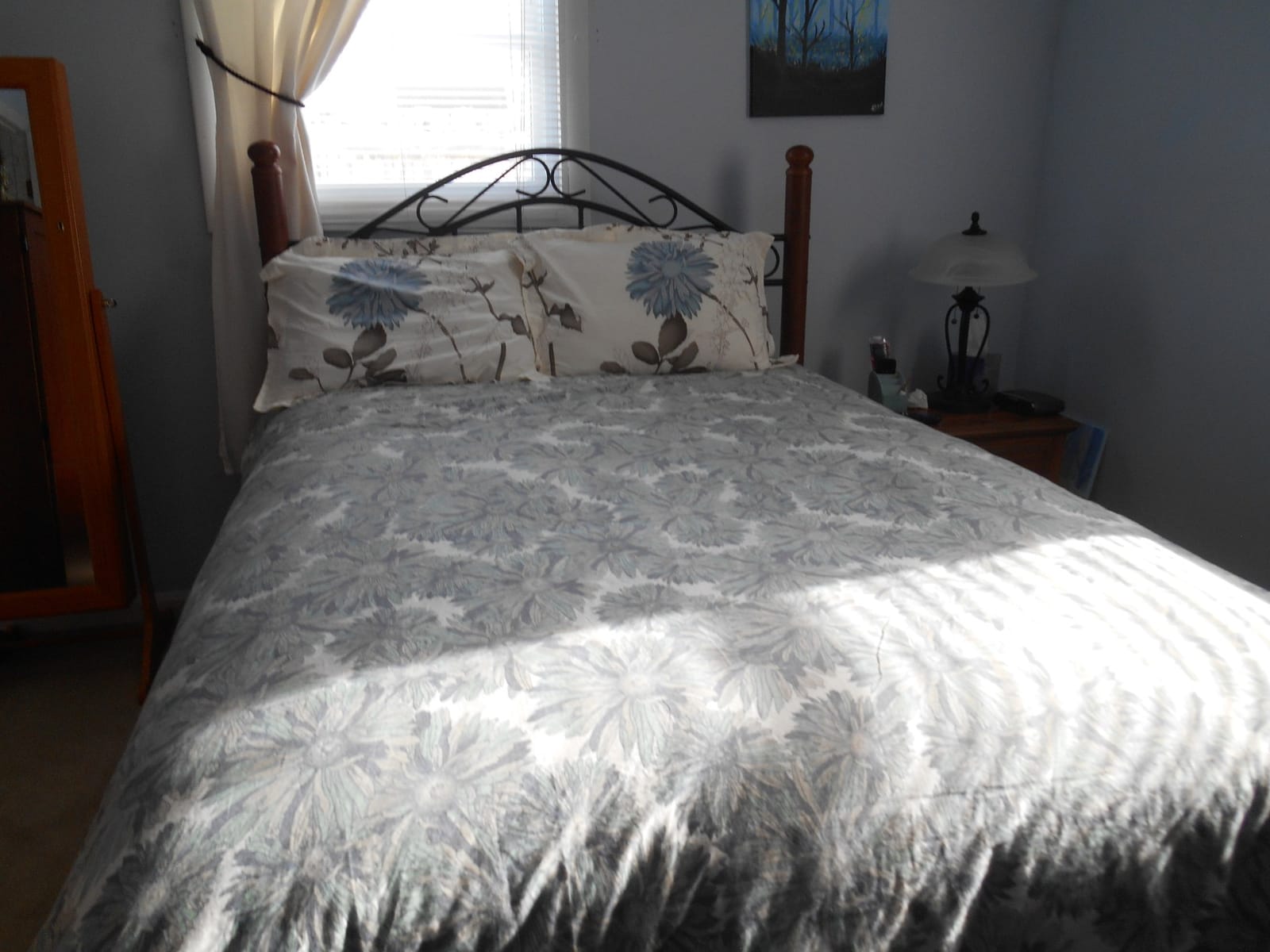 Swanson Beddings Daisy Silhouette Reversible Floral Print 3-Piece 100% Cotton Bedding Set: Duvet Cover and Two Pillow Shams (King) (Comforter NOT Included) customer photo 1