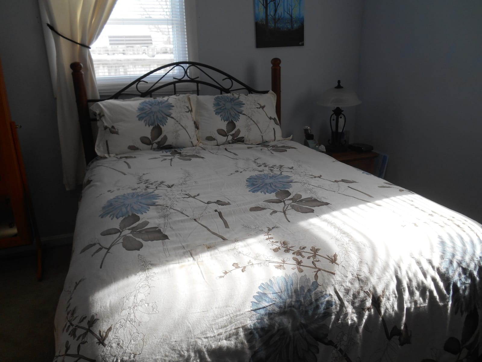 Swanson Beddings Daisy Silhouette Reversible Floral Print 3-Piece 100% Cotton Bedding Set: Duvet Cover and Two Pillow Shams (King) (Comforter NOT Included) customer photo 2