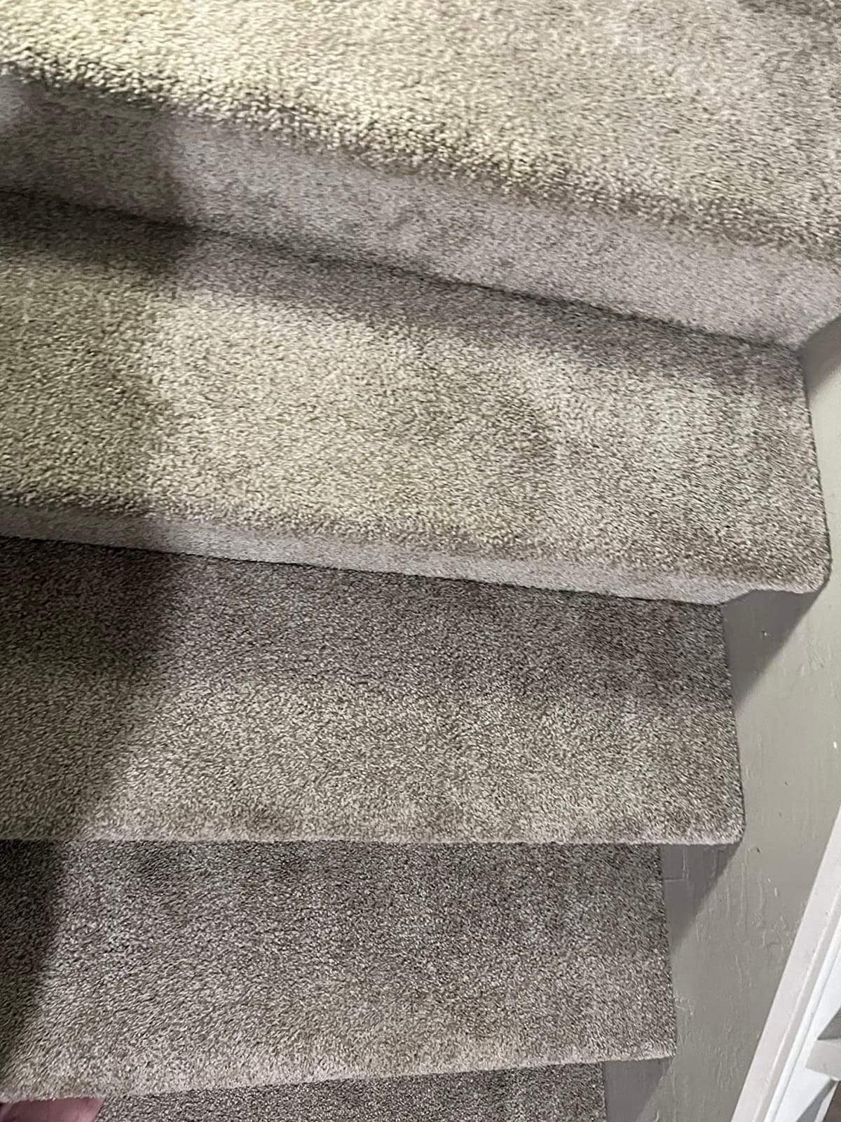 Bissell SpotClean Pet Pro Portable Carpet Cleaner, 2458 customer photo 2