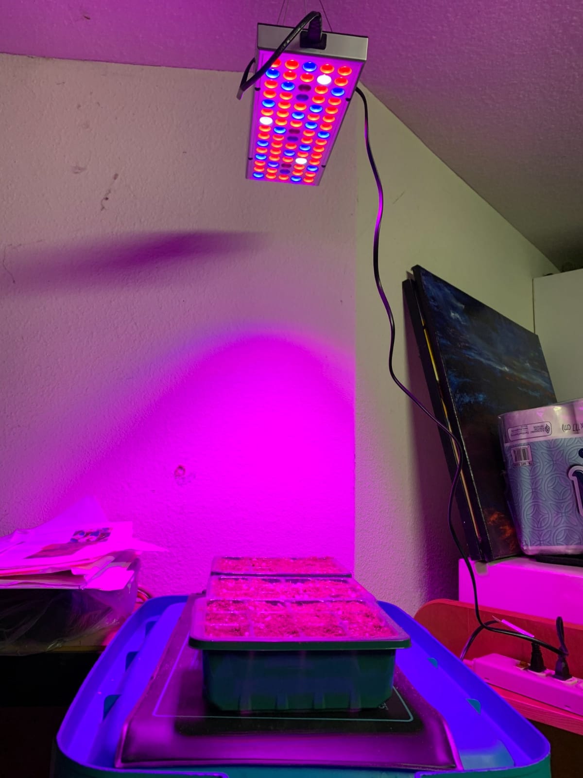 LED Grow Lights for Indoor Plants, Panel Plant Light Full Spectrum with IR & UV Bulbs for Seedlings,Micro Greens,Clones,Succulents (Size:9.9x9.9inches) customer photo 2