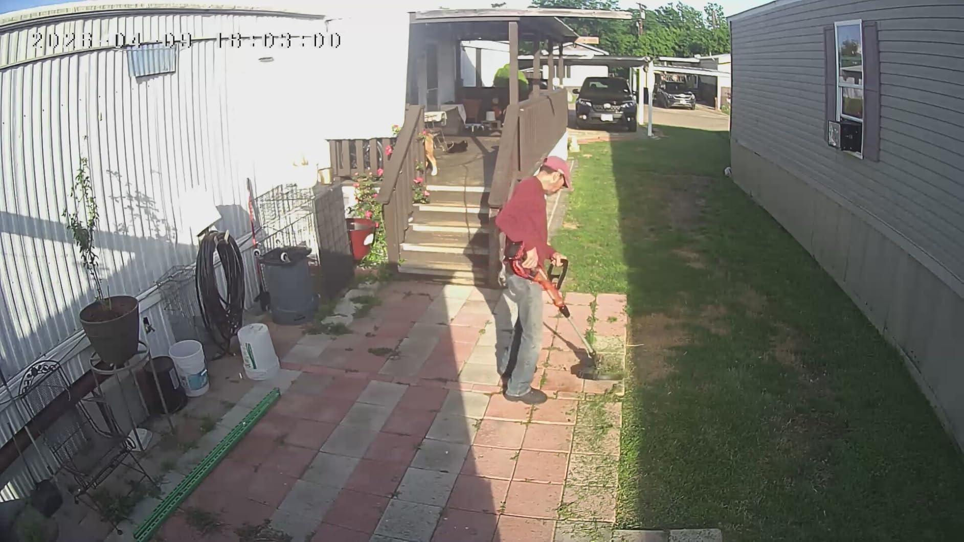 CRAFTSMAN V20 Weed Wacker Cordless String Trimmer and Edger, Weed Eater Includes 2.0 Ah Battery and Charger, Lightweight, Extended Runtime, 2 Speed (CMCST900D1) customer photo 2