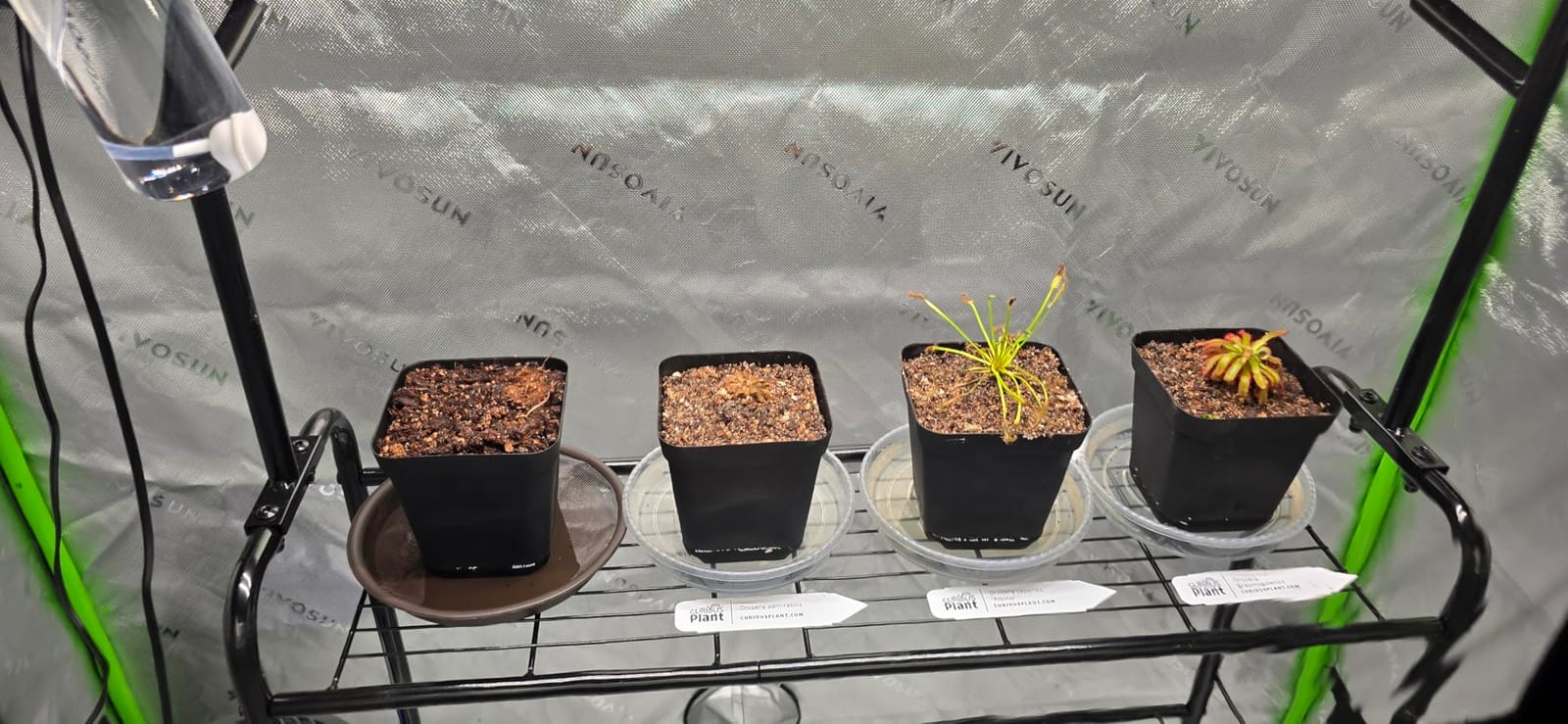 VIVOSUN S224 2x2 Grow Tent 24