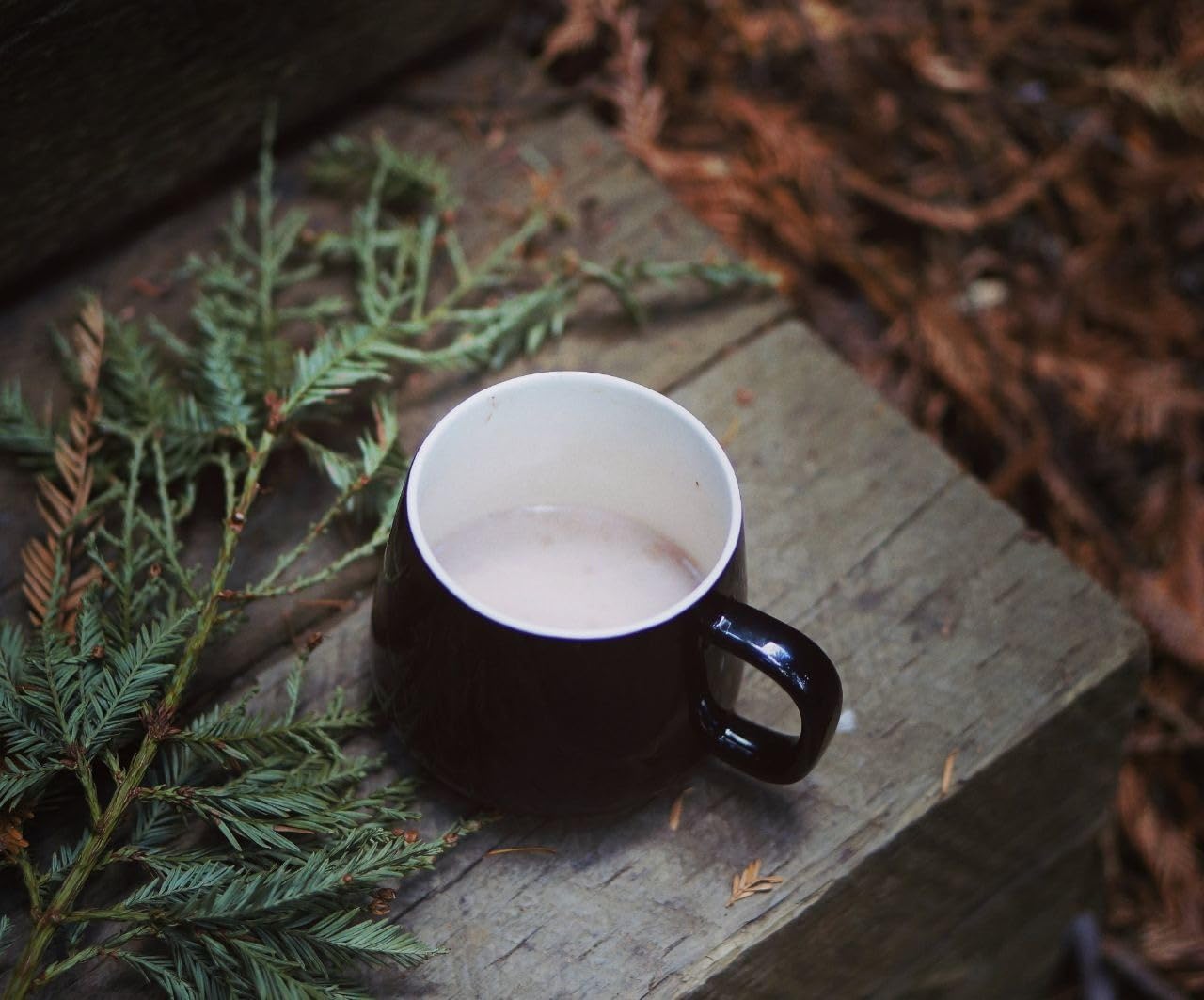 Teocera Coffee Mugs Set of 4-12oz Chip-Resistant Ceramic Cups with Ergonomic Handle | Dishwasher & Microwave Safe White Mugs | Keeps Beverage Hot, Perfect for Family Kitchen & Holiday Gifts customer photo 2