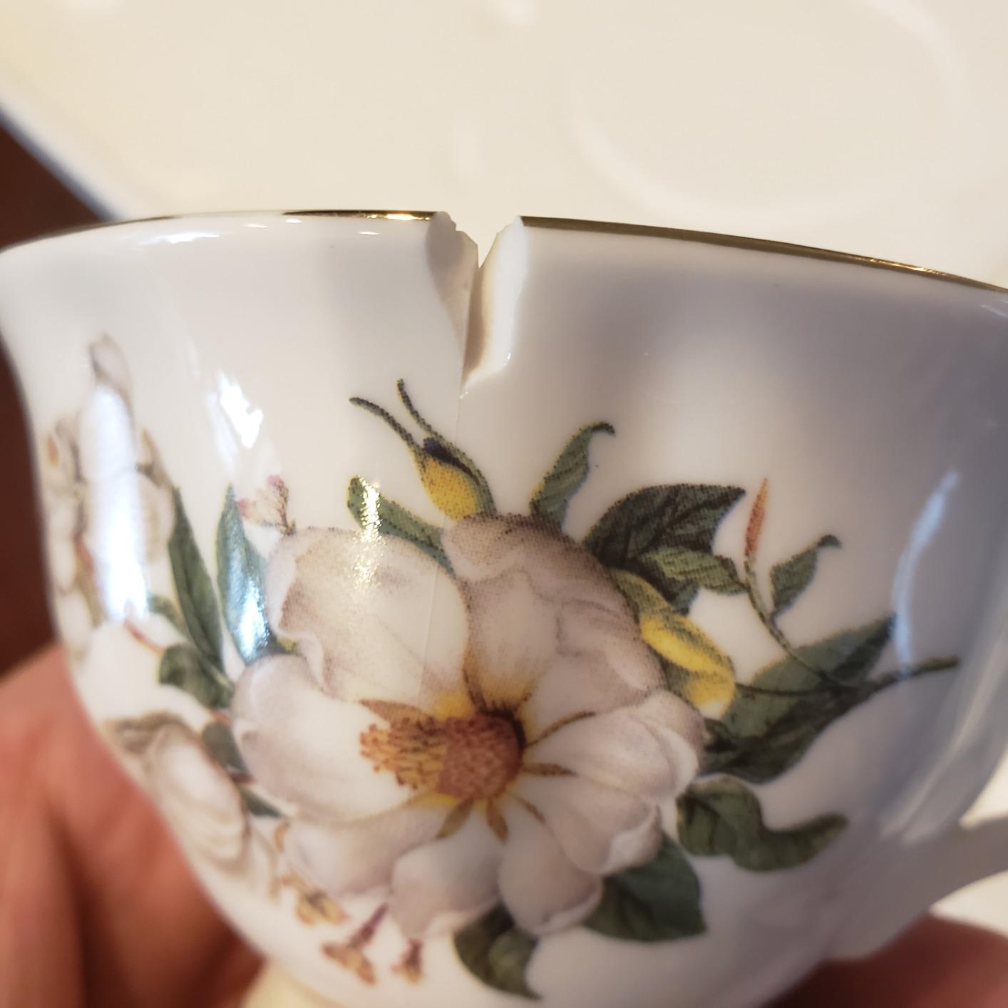 CHENP.HMC Porcelain Tea Cup Set 22-Piece Ceramic Coffee Tea Sets (Camellia) customer photo 2