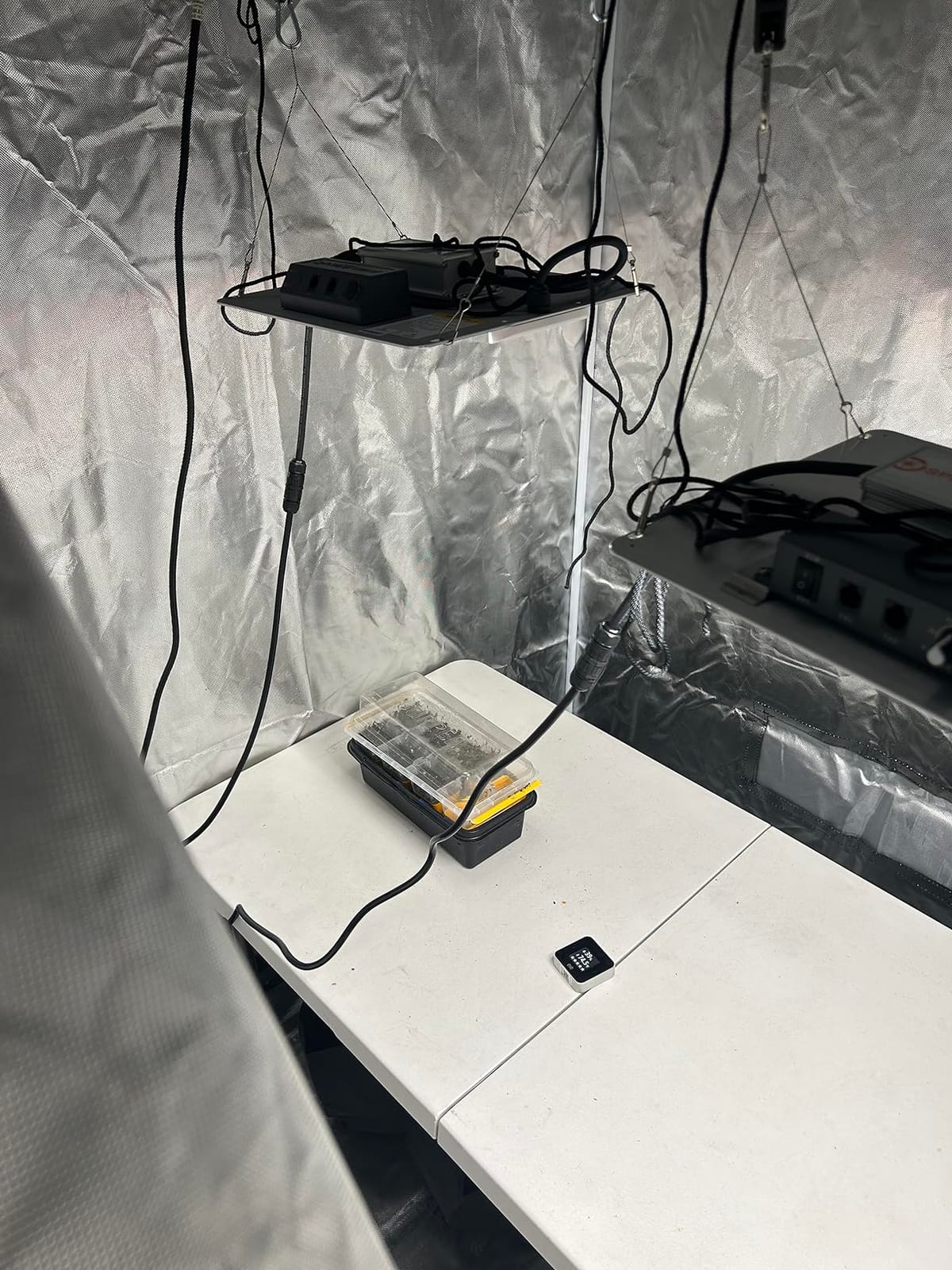 Spider Farmer SF1000 LED Grow Lights for Indoor Plants in 2x2/3x3 Grow Tent customer photo 1