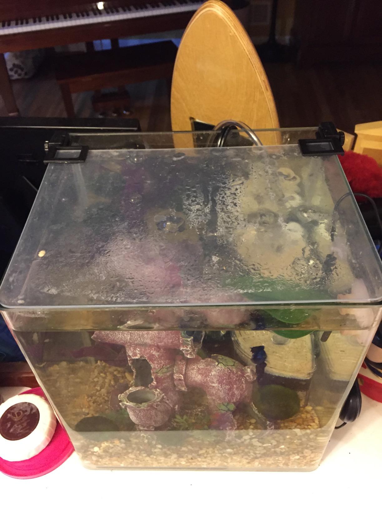 Penn-Plax Water-World Vertex Desktop Aquarium Kit - Perfect for Shrimp & Small Fish - 5 Gallon Tank customer photo 1