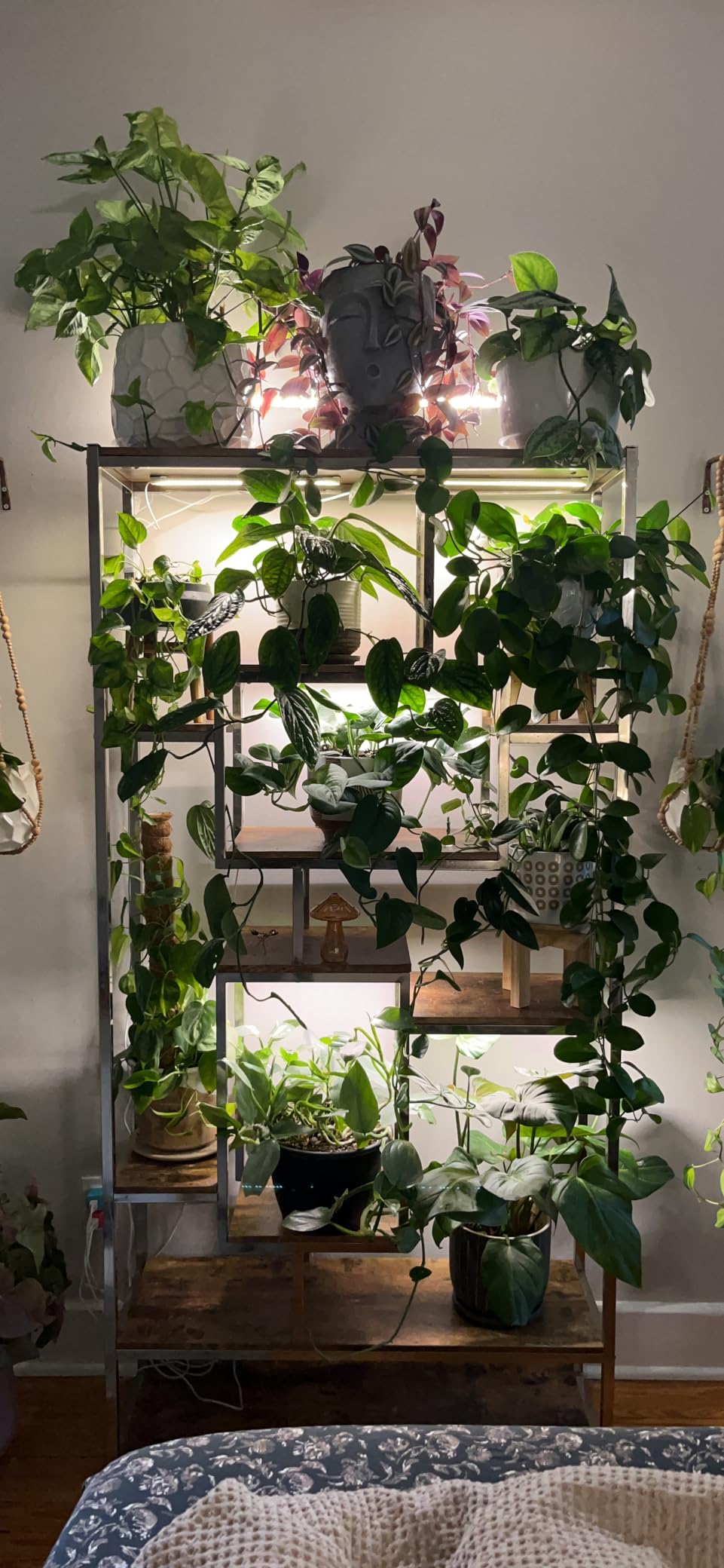 LED Plant Grow Light Strip Full Spectrum for Indoor Plant with Timer customer photo 2
