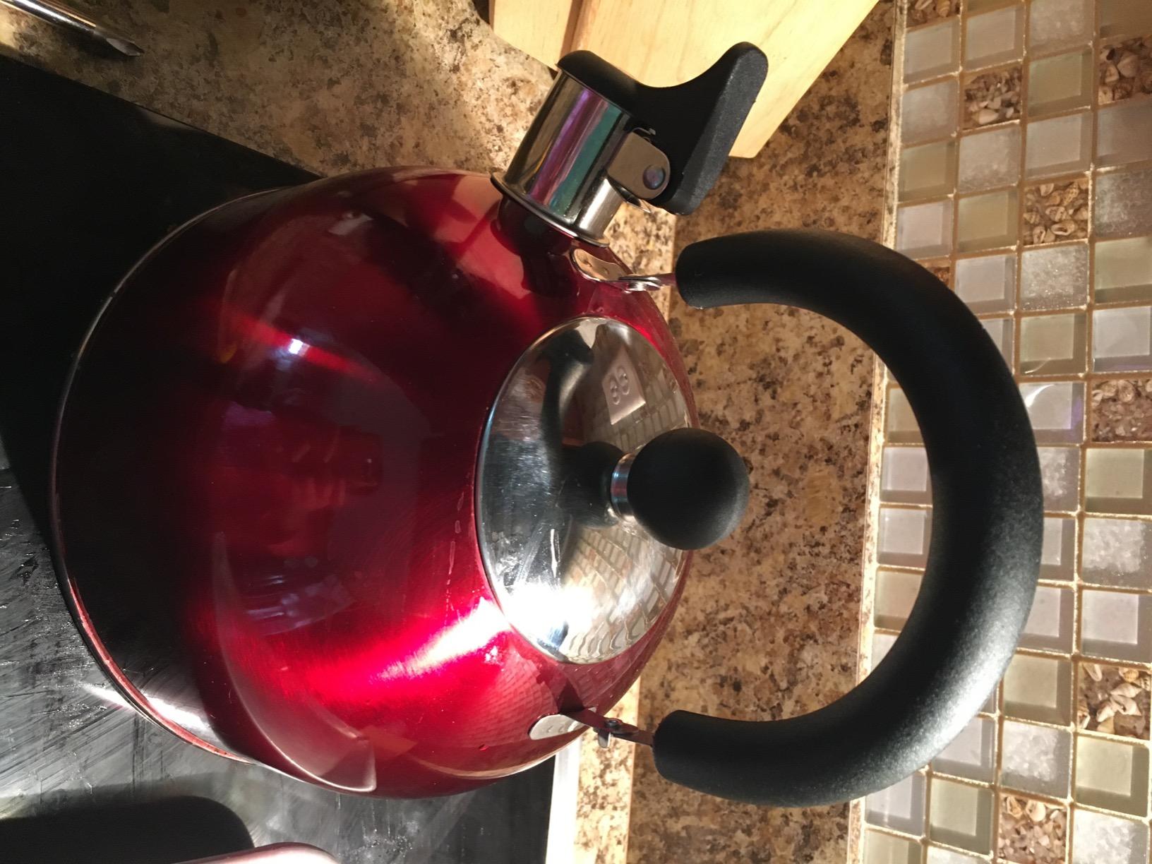 Lily's Home 2 Quart Stainless Steel Whistling Tea Kettle, the Perfect Stovetop Tea and Water Boilers for Your Home, Dorm, Condo or Apartment. (Black) customer photo 1