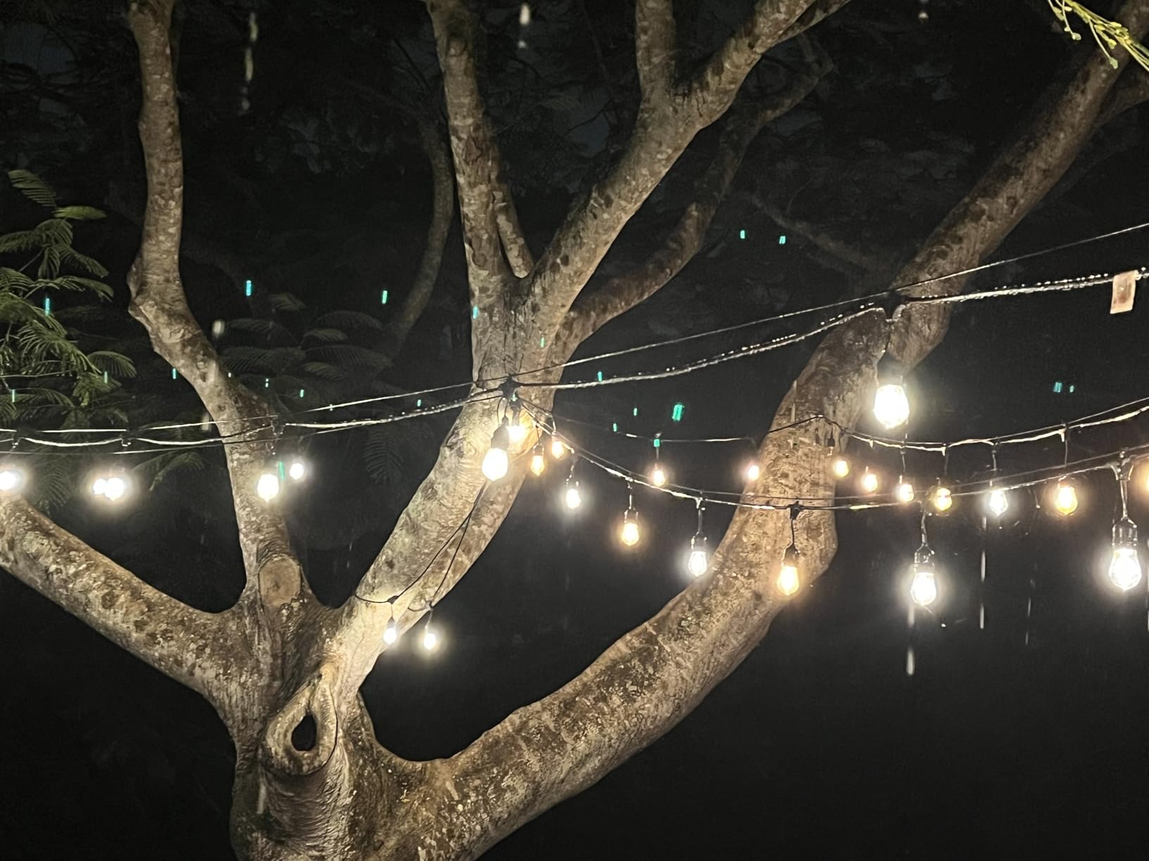 Svater 48 FT Outdoor String Lights 2W Commercial Grade Waterproof S14 ETL customer photo 1