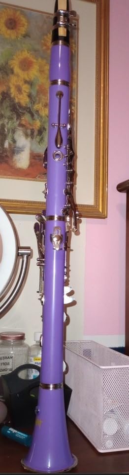 Bb Clarinet 17 Keys Flat B Clarinet for Beginners & Students Black customer photo 1