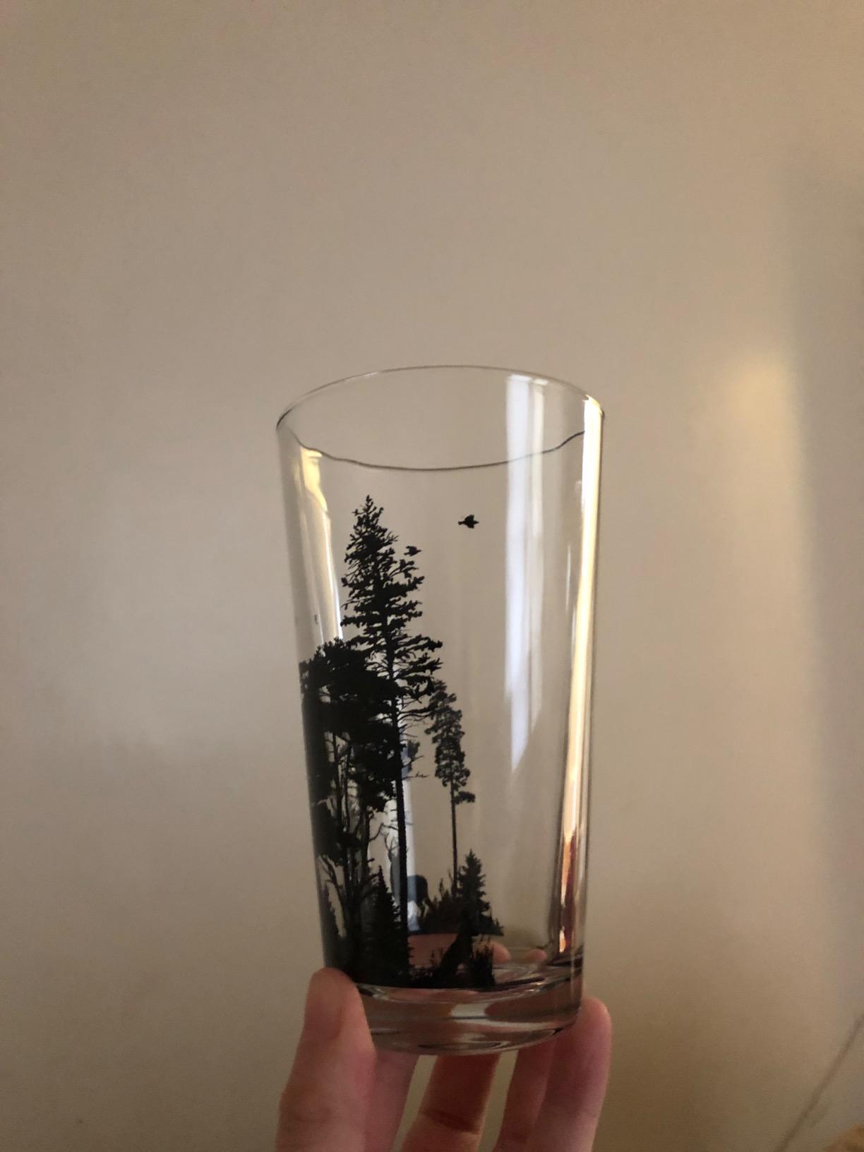 Black Lantern Pint Glass Set of 2 – Forest & Mountain Camping 16oz Screen Printed Craft Beer Glasses - Outdoor Nature Themed Tumblers customer photo 1