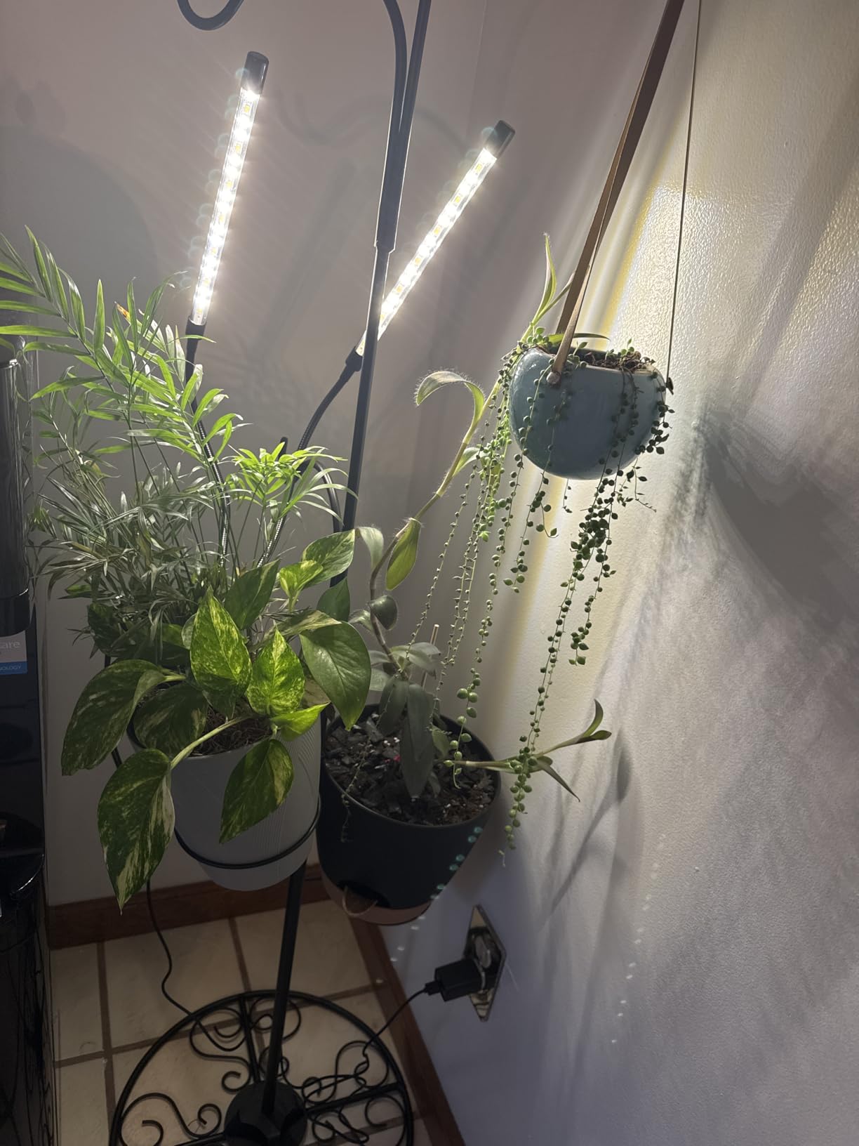 bseah Grow Light Plant Lights for Indoor Plants, Full Spectrum Plant Grow Lamp, 10 Dimmable Levels, Auto ON & Off with 3/9/12H Timer customer photo 1