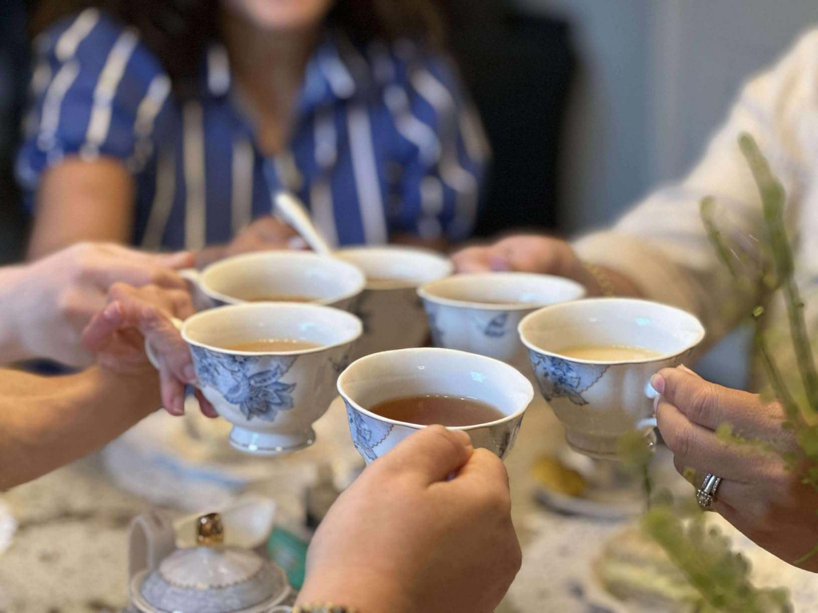 fanquare Blue Flowers Porcelain Tea Set Service for 6 customer photo 1