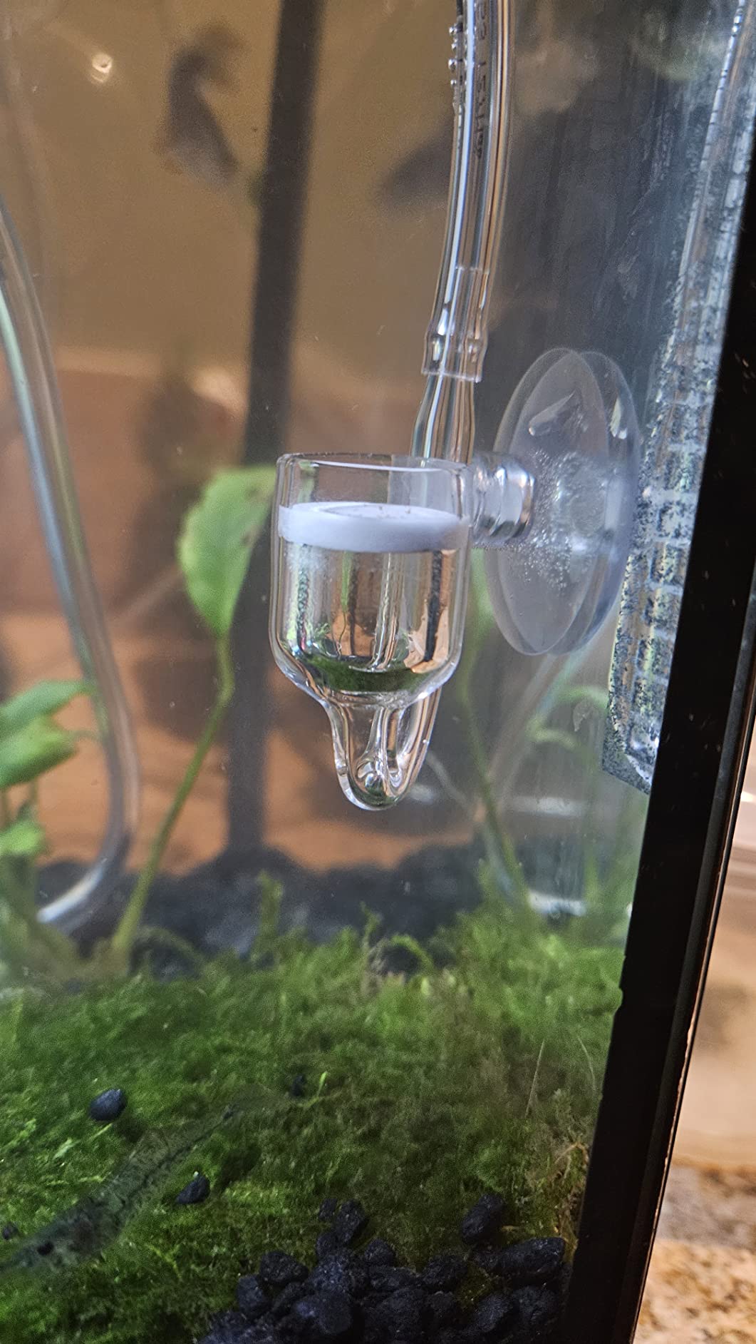 Aquarium DIY CO2 Generator System Kit, G200 customer photo 2