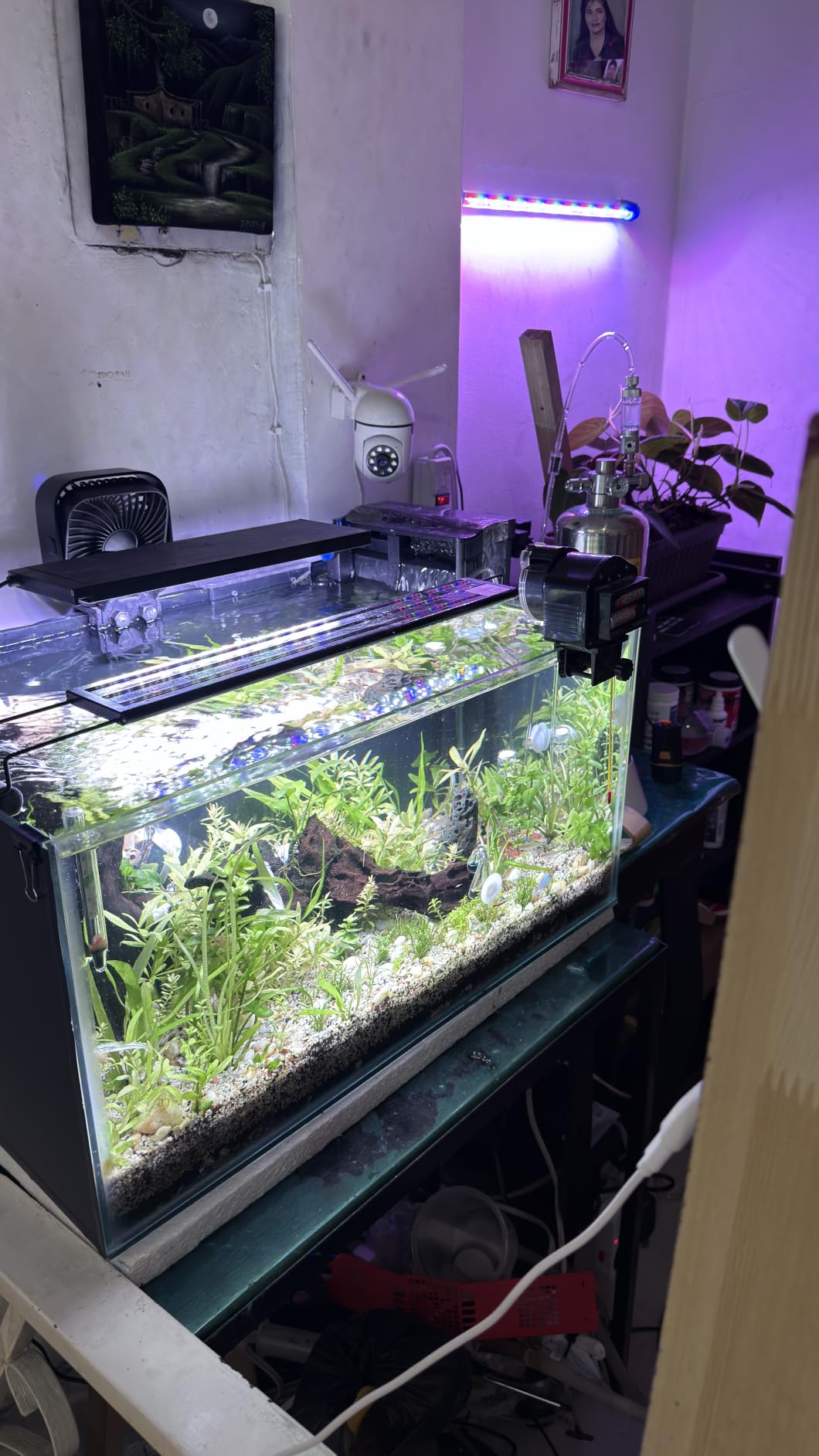 Aquarium CO2 Generator Double Runtime with Solenoid Valve 4L, G700S customer photo 1