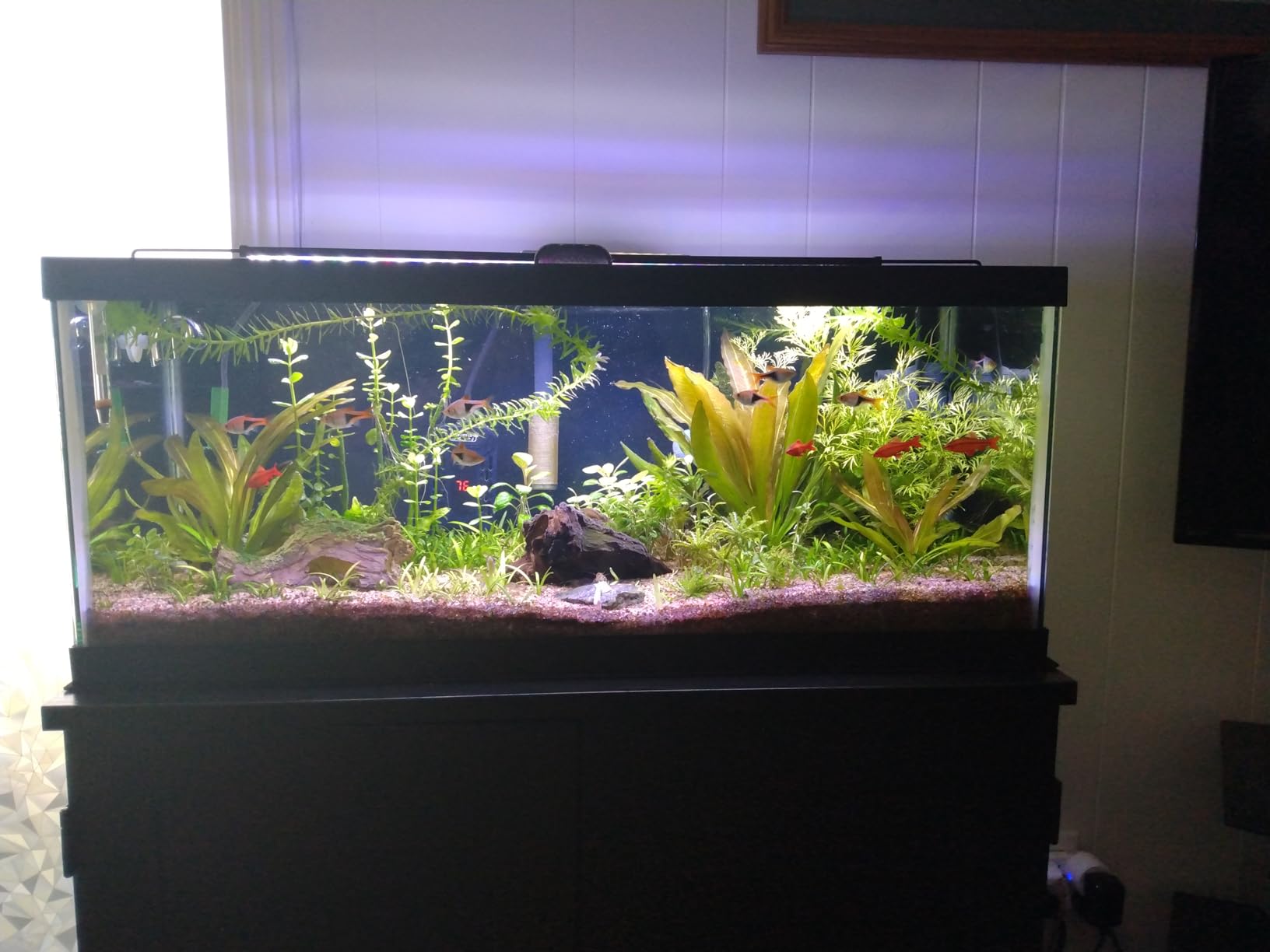 Aquarium CO2 Generator Double Runtime with Solenoid Valve 4L, G700S customer photo 2