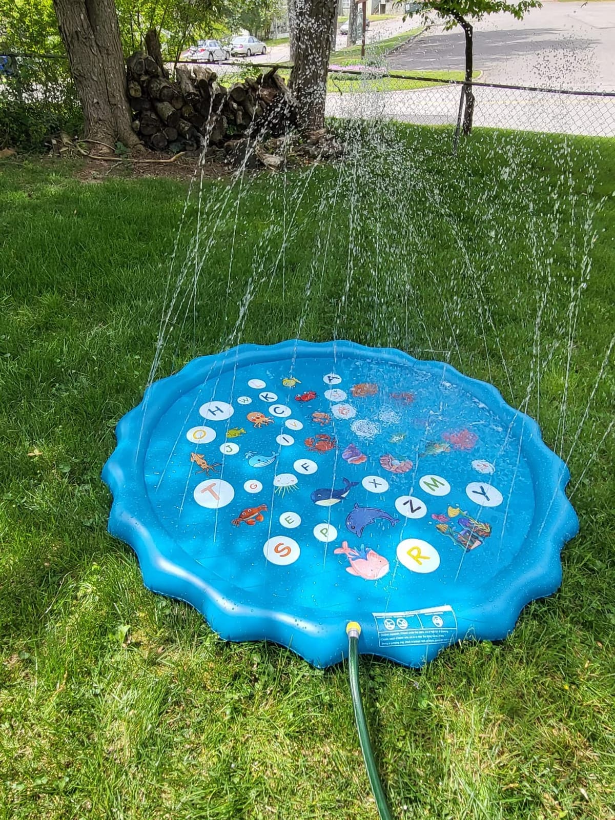 Splash pad for Kids, Arfbear 67