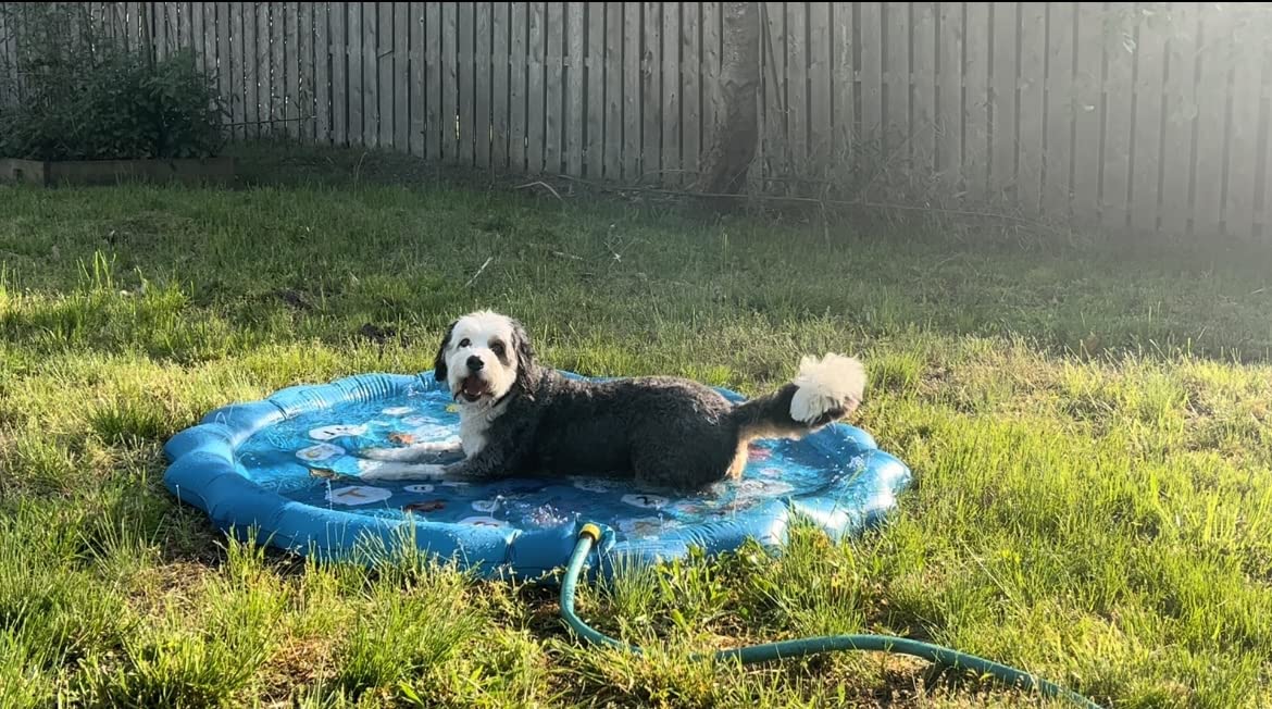 Splash pad for Kids, Arfbear 67