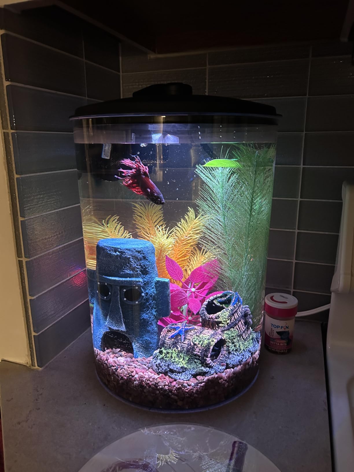 Koller Products Plastic 6-Gallon AquaView 360 Aquarium Kit for Tropical Fish, Betta Fish with LED Lighting and Power Filter Clear, 4-Piece Set customer photo 1