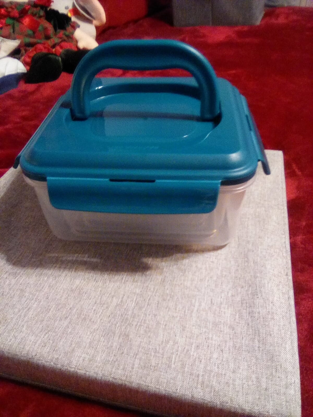 Rachael Ray Leak-Proof Nestable Container Food Storage Bin Set, 10-Piece, Clear with Teal Lids customer photo 1