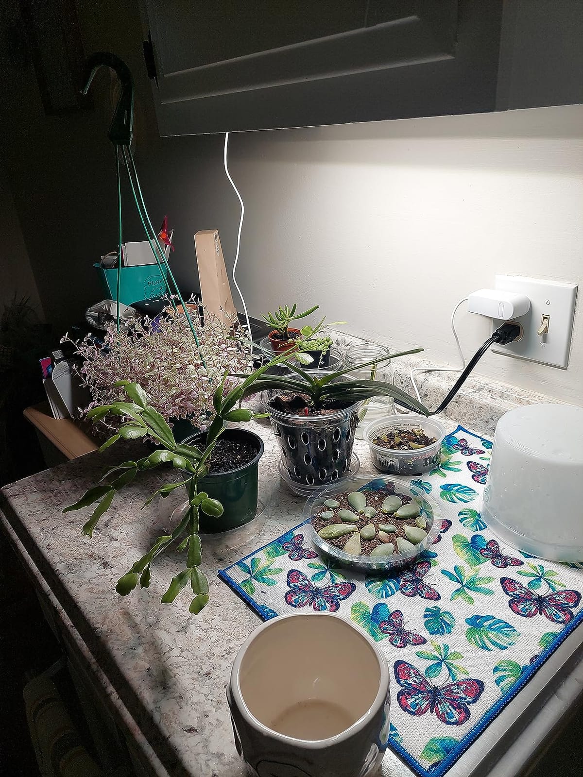 FOXGARDEN Grow Light, Full Spectrum Plant Light Strip for Indoor Plants, 96 LED Bright Grow Lamp with Auto On/Off Timer 4/8/12H, 4 Dimmable Brightness customer photo 2