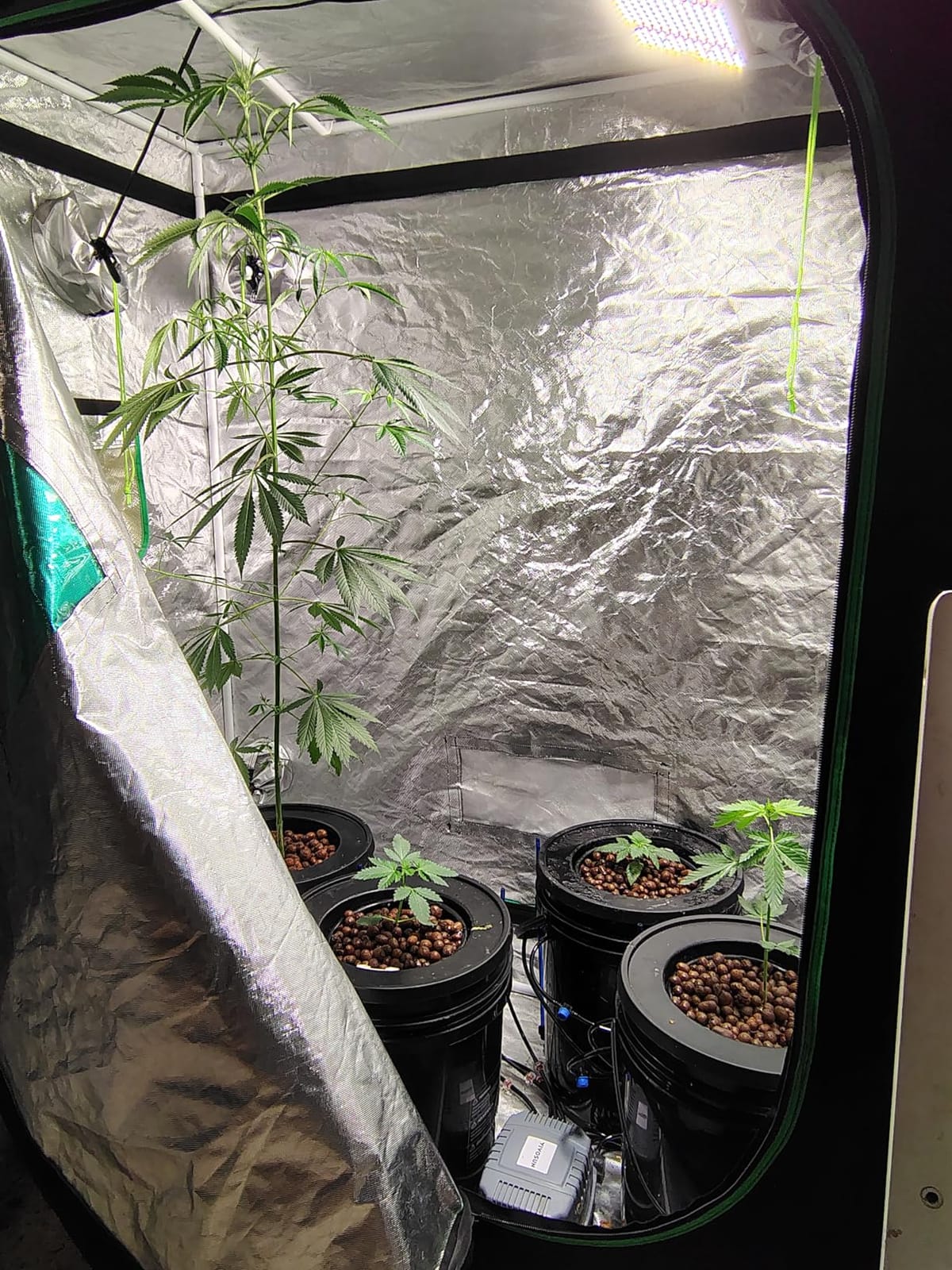 VIVOSUN DWC Hydroponics Grow System with Top Drip Kit 4 Buckets customer photo 1