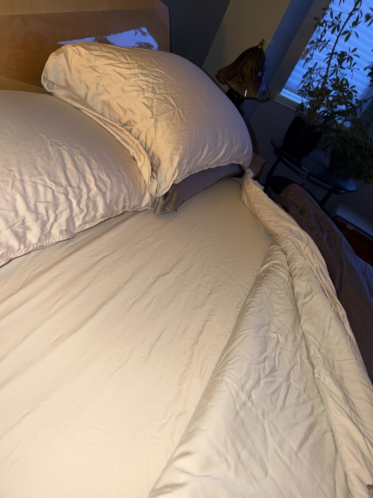 Bella Coterie Luxury Bamboo Viscose Queen Size Sheet Set customer photo 2