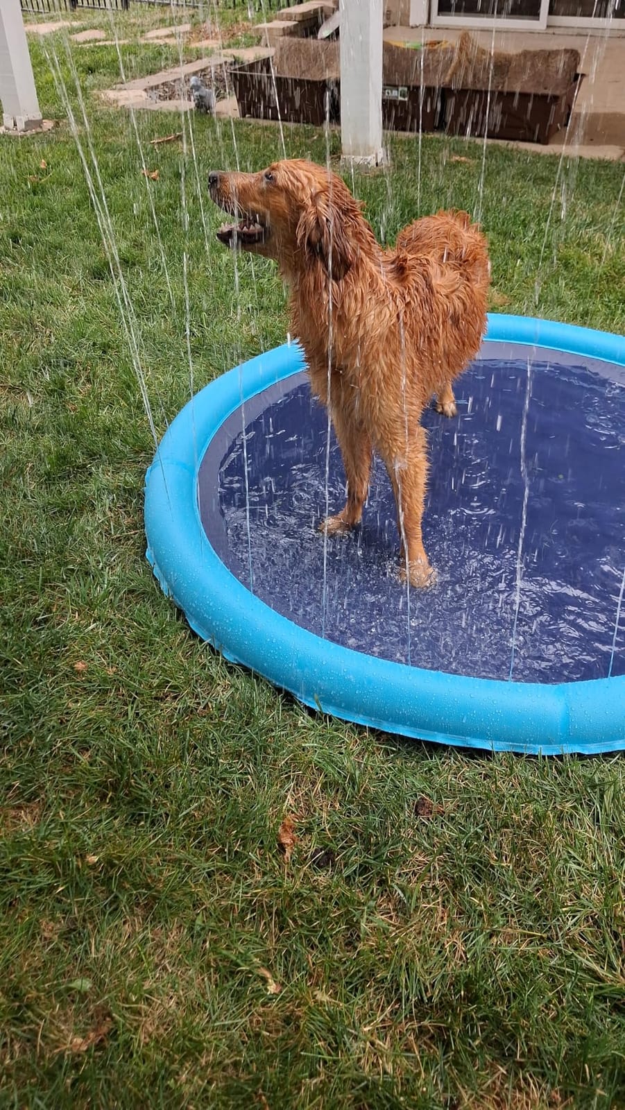 Raxurt Non-Slip Splash Pad for Kids and Dog, 67'' Splash Pad Thicken 0.58mm for Kids Ages 4-8 Toddler Baby Splash Sprinkler Pad Dog Pool Summer Outdoor Water Toys for Boys Girls customer photo 2